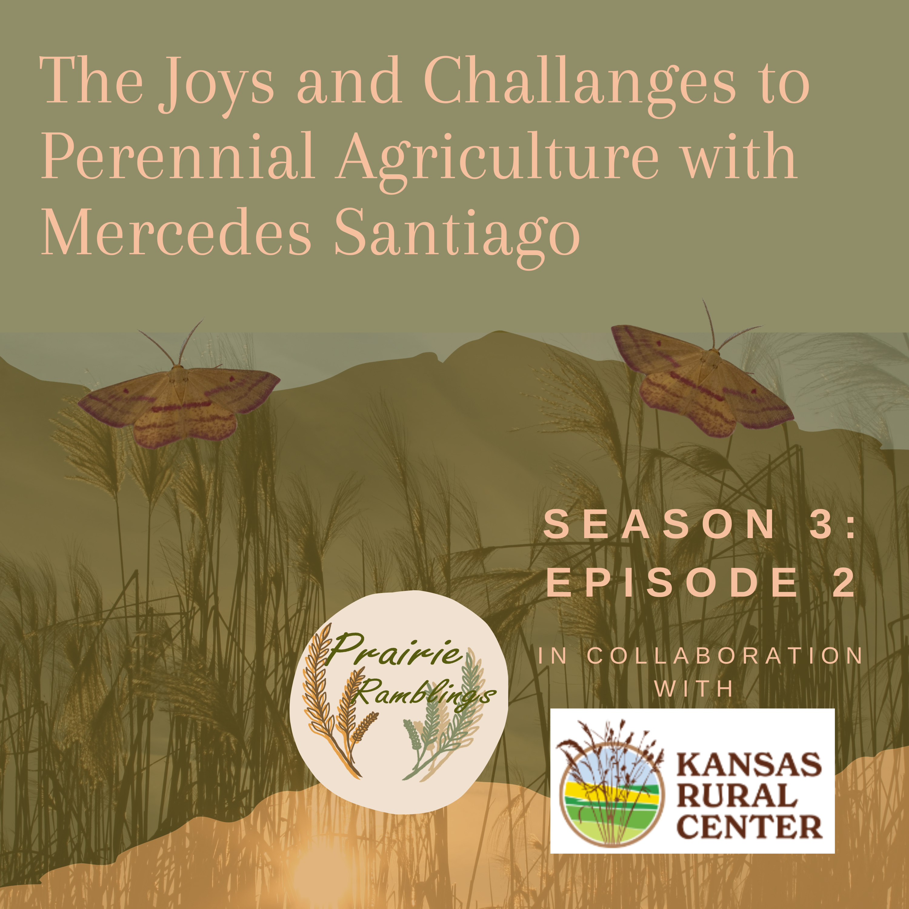 Prairie Ramblings