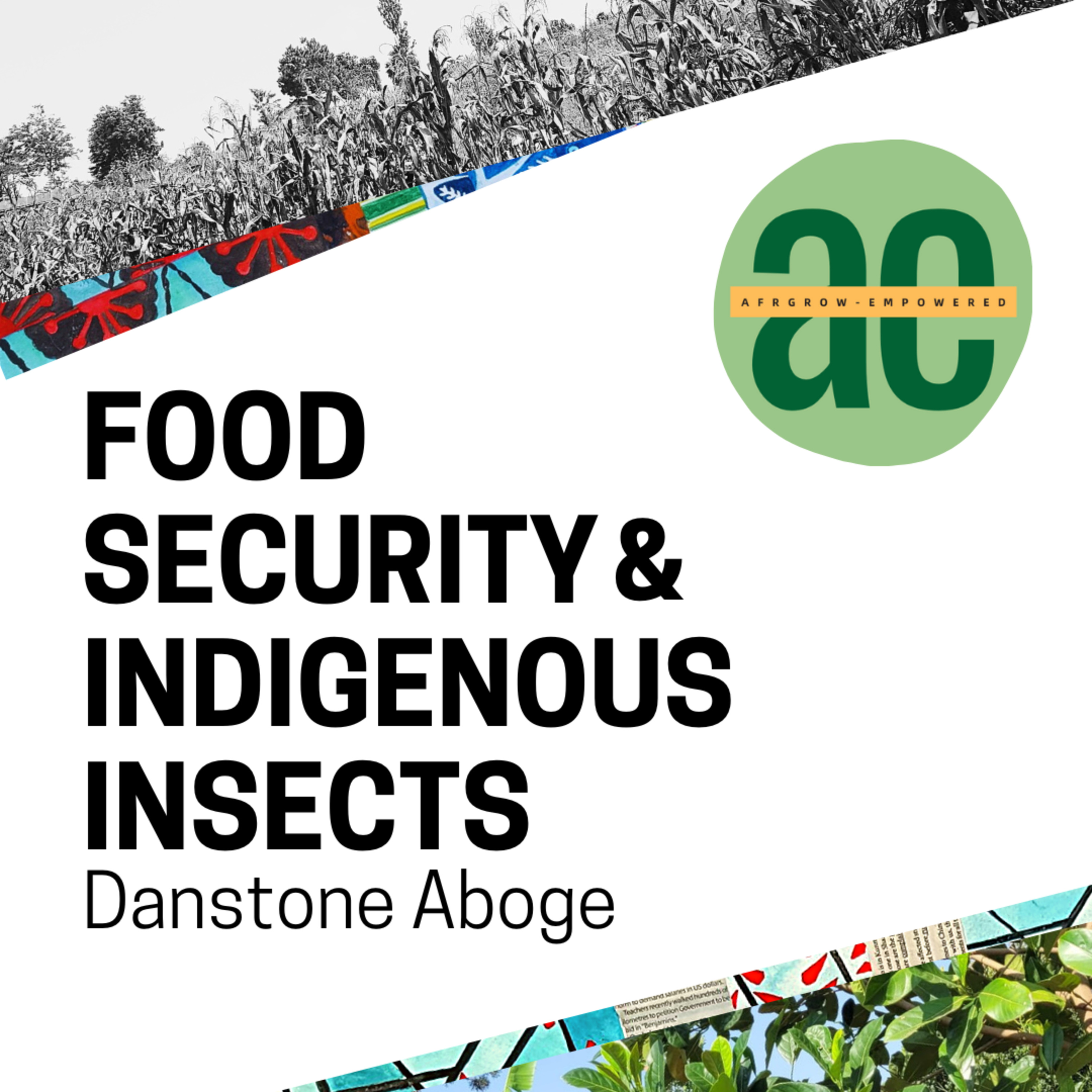 A F RI C A N I D E N TI T Y