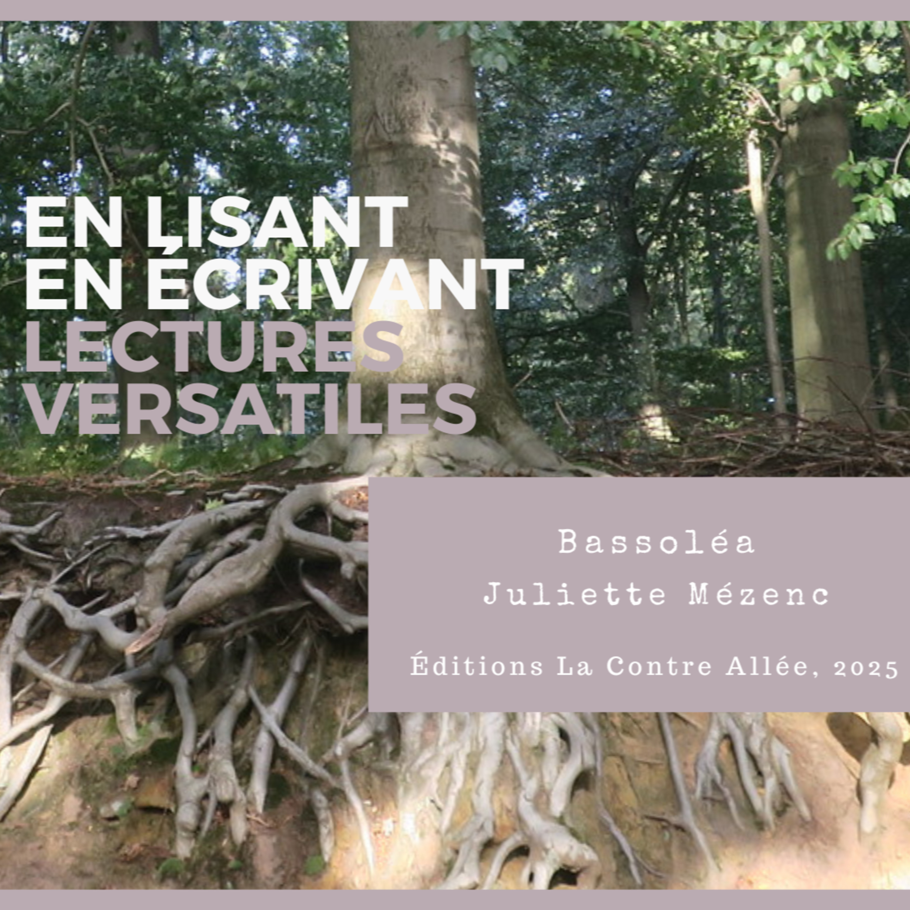 Bassoléa ou de l’herbe dans le ventre, de Juliette Mézenc