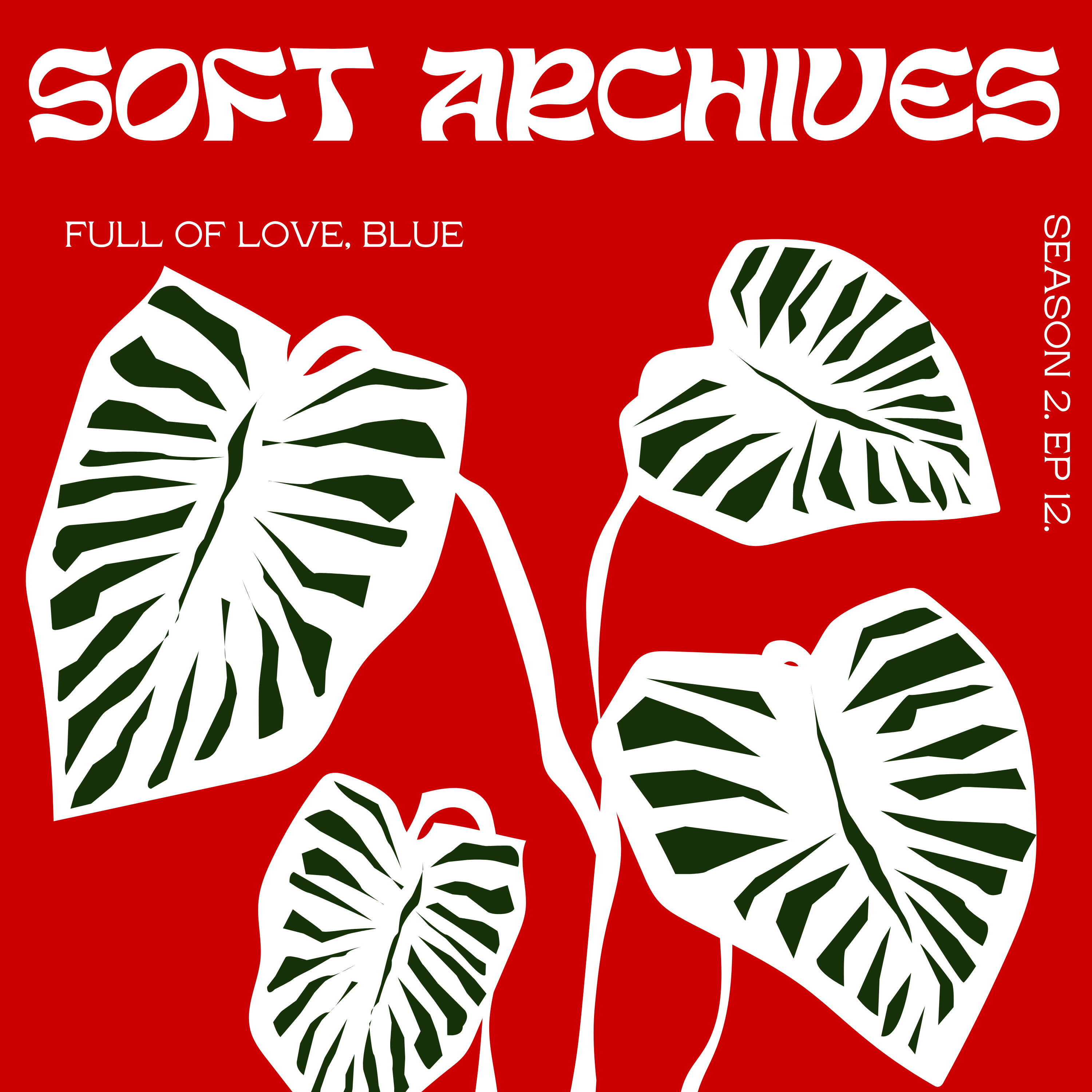 Soft Archives ⋆. 𐙚 ˚ episode artwork