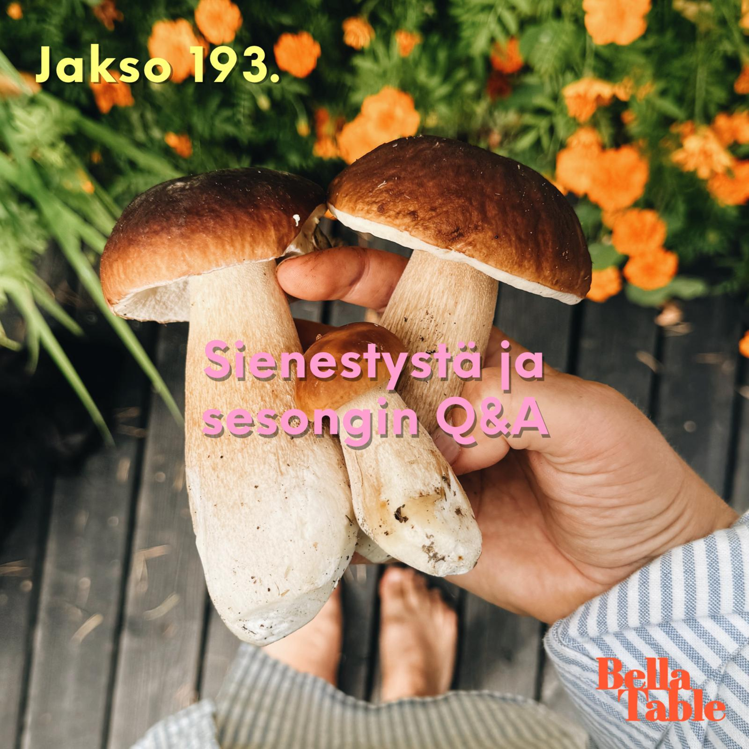 193. Sienestystä ja sesongin Q&A episode artwork
