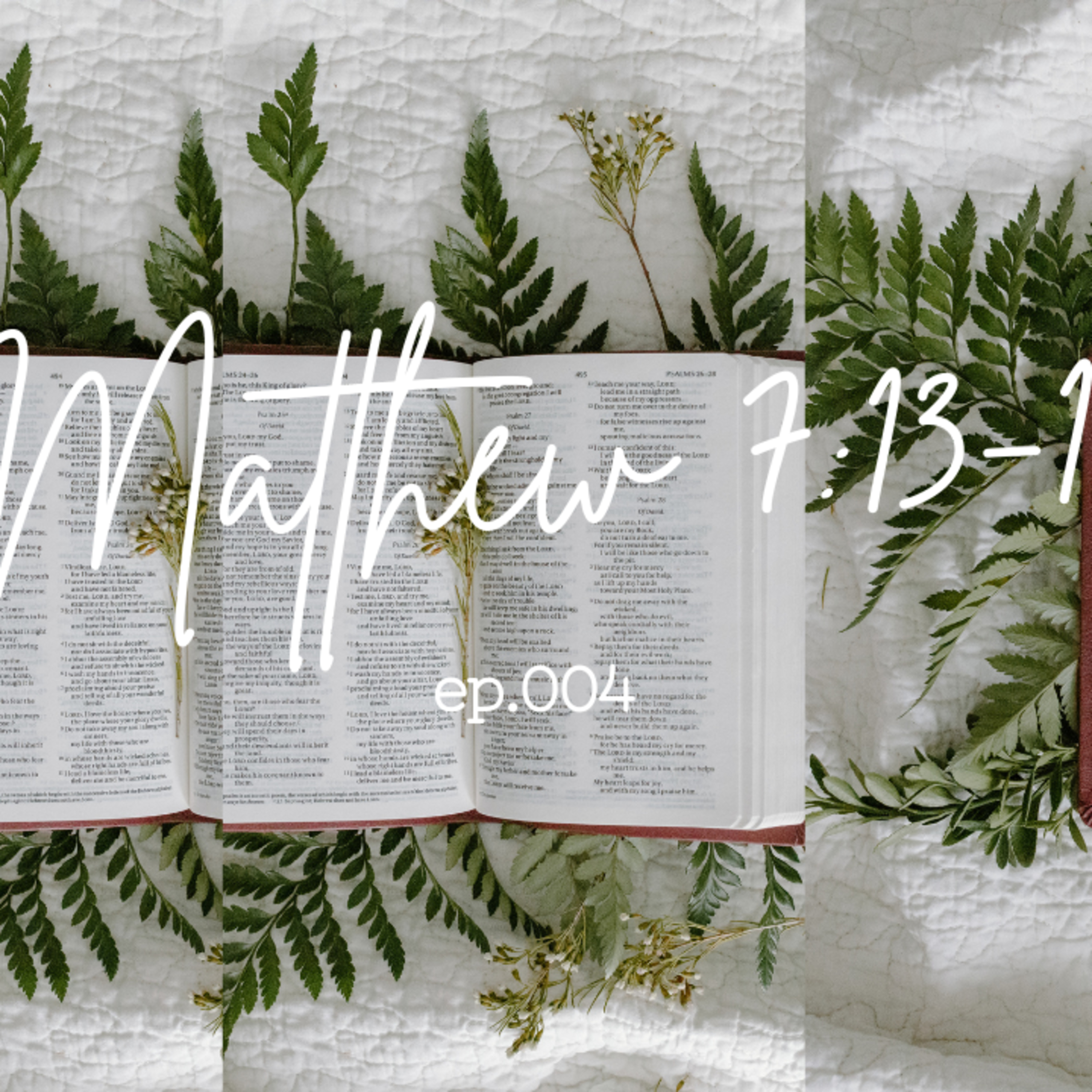 Matthew 7:13-14 episode artwork