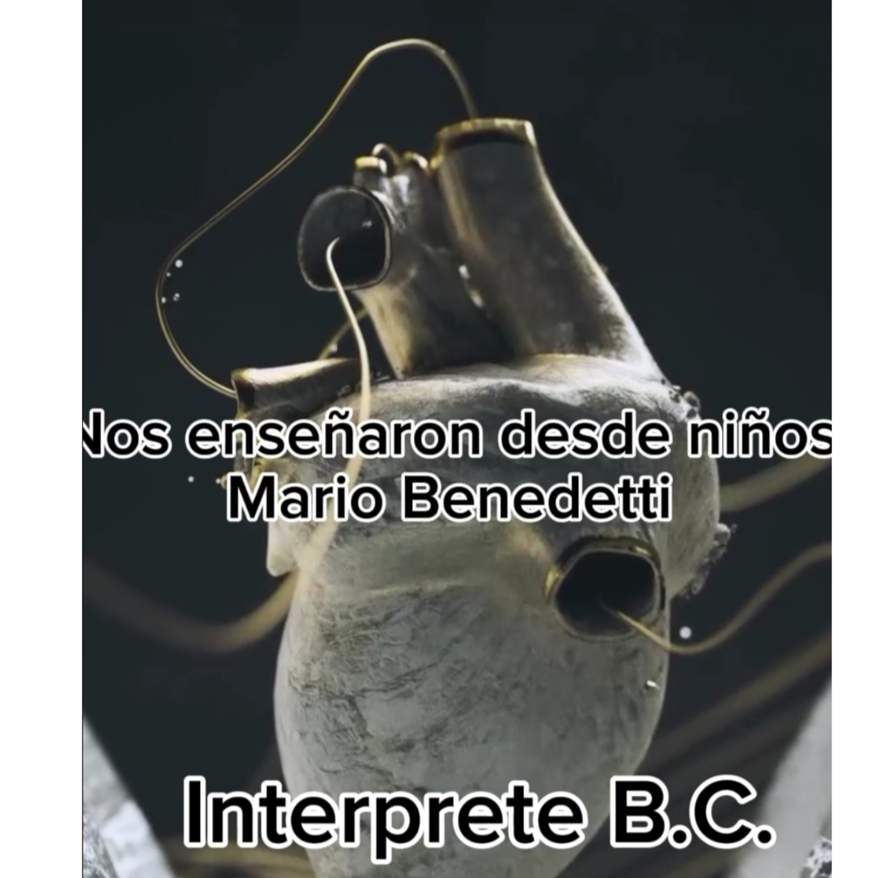 Dimensión Desconocida