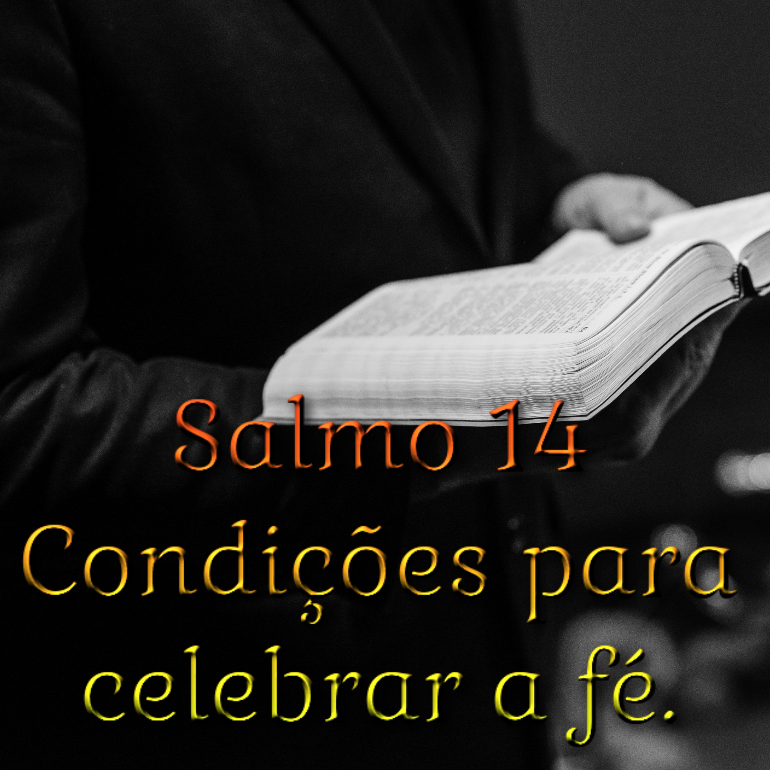 Salmo 14,2-3ab.3cd-4ab.5 - Condições para celebrar a fé. episode artwork