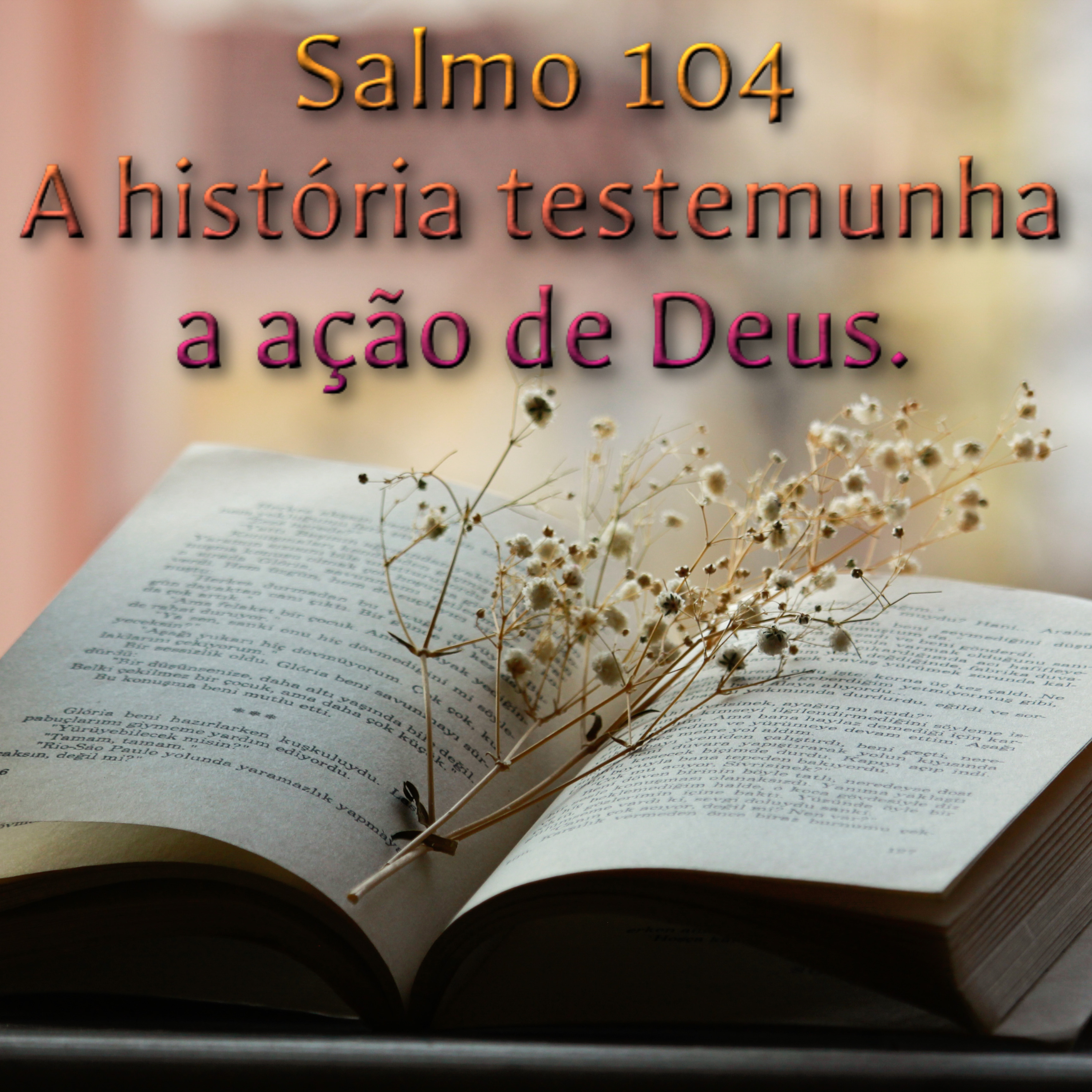 Salmo 104,1-2.3-4.6-7.8-9 - A HISTÓRIA TESTEMUNHA A AÇÃO DE DEUS. episode artwork