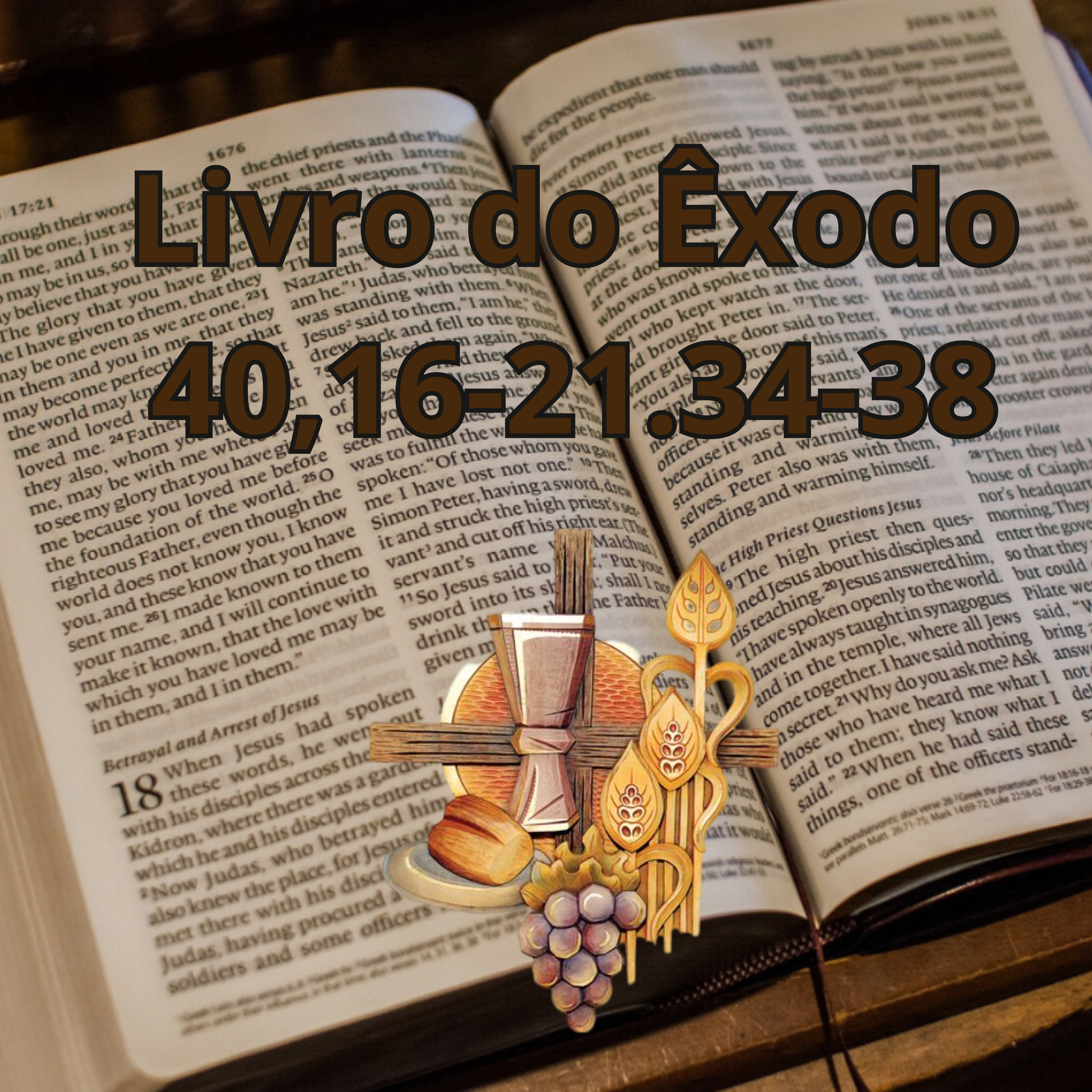 LIVRO DO ÊXODO 40,16-21.34-38 (COM REFLEXÃO) episode artwork