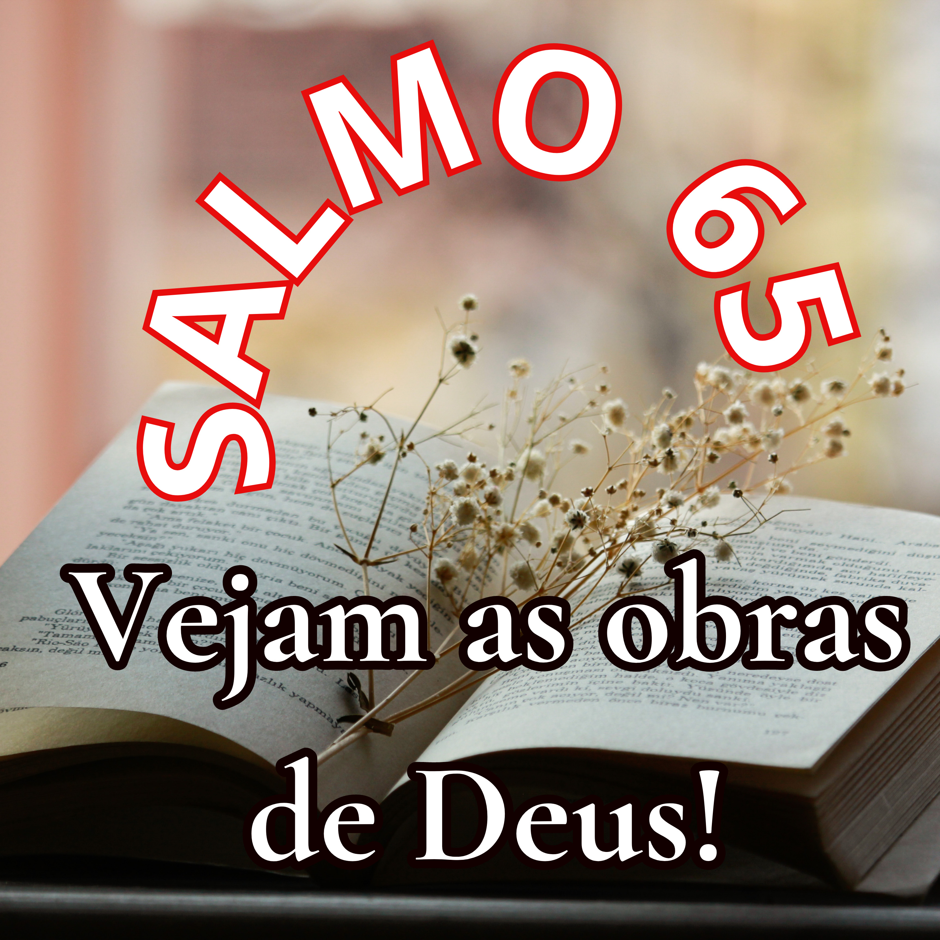 SALMO 65,,1-3a.5 e 16-17 - VEJAM AS OBRAS DE DEUS! episode artwork
