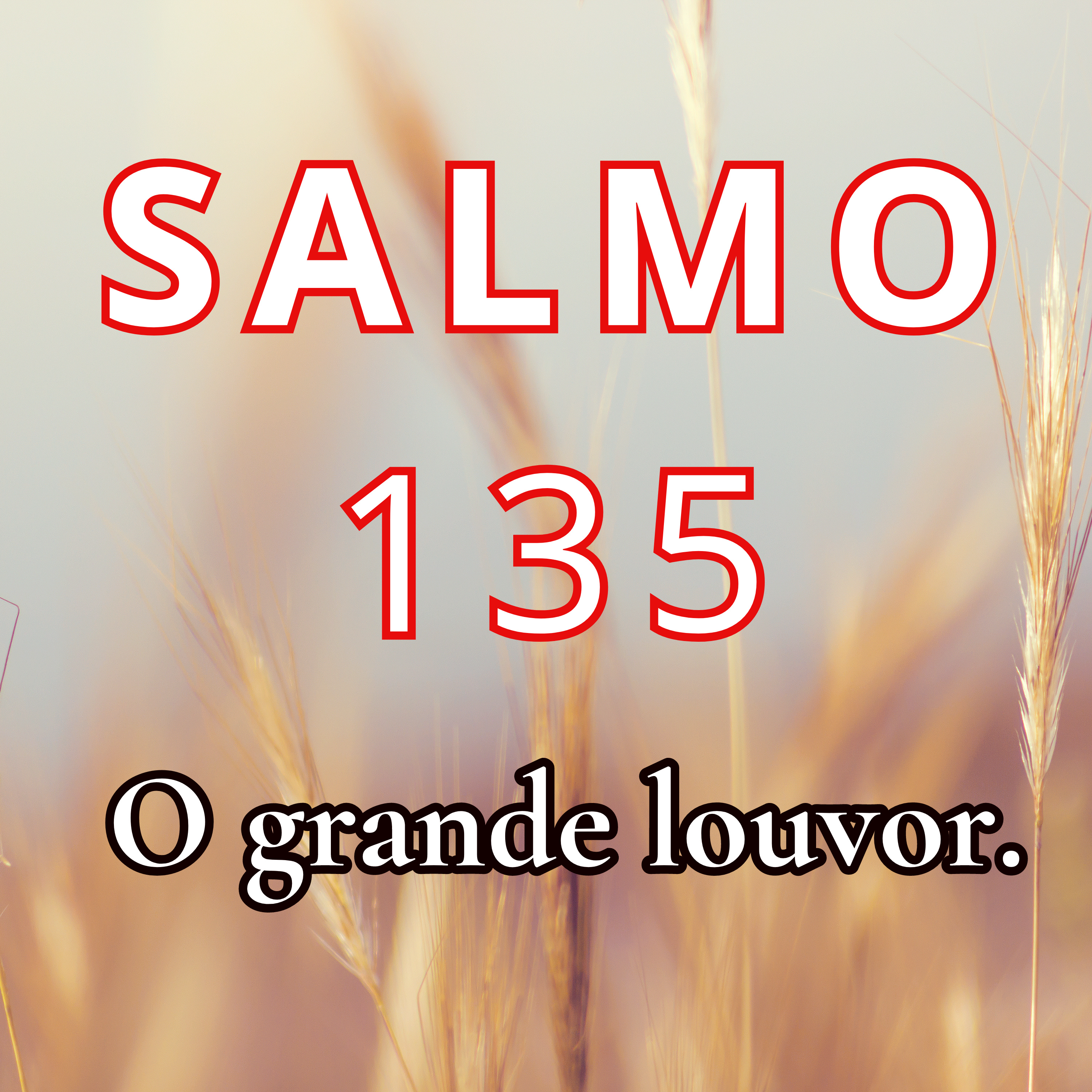 SALMO 135,1-3.16-18.21-22.24 - OGRANDE LOUVOR. episode artwork