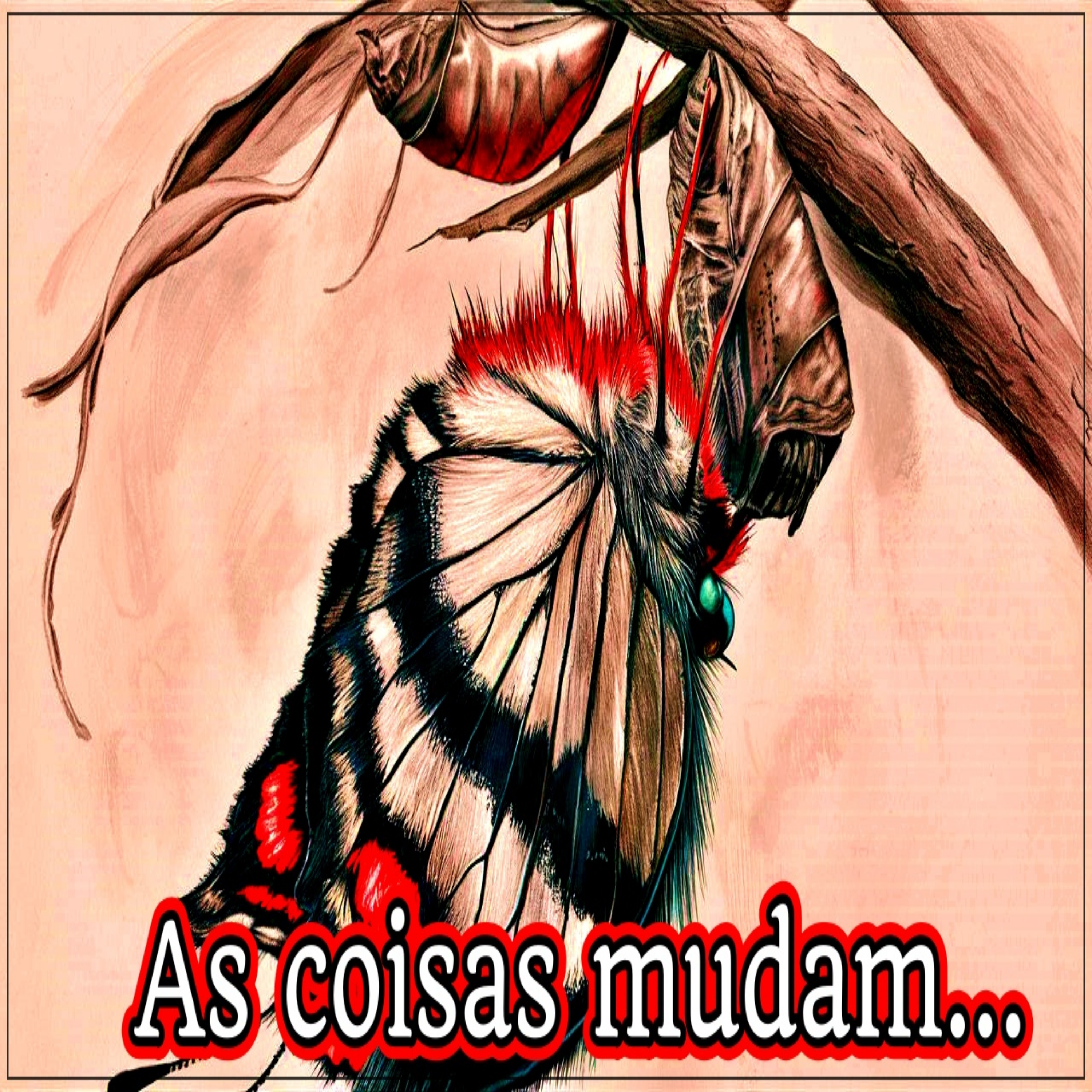 OUVIR E REFLETIR