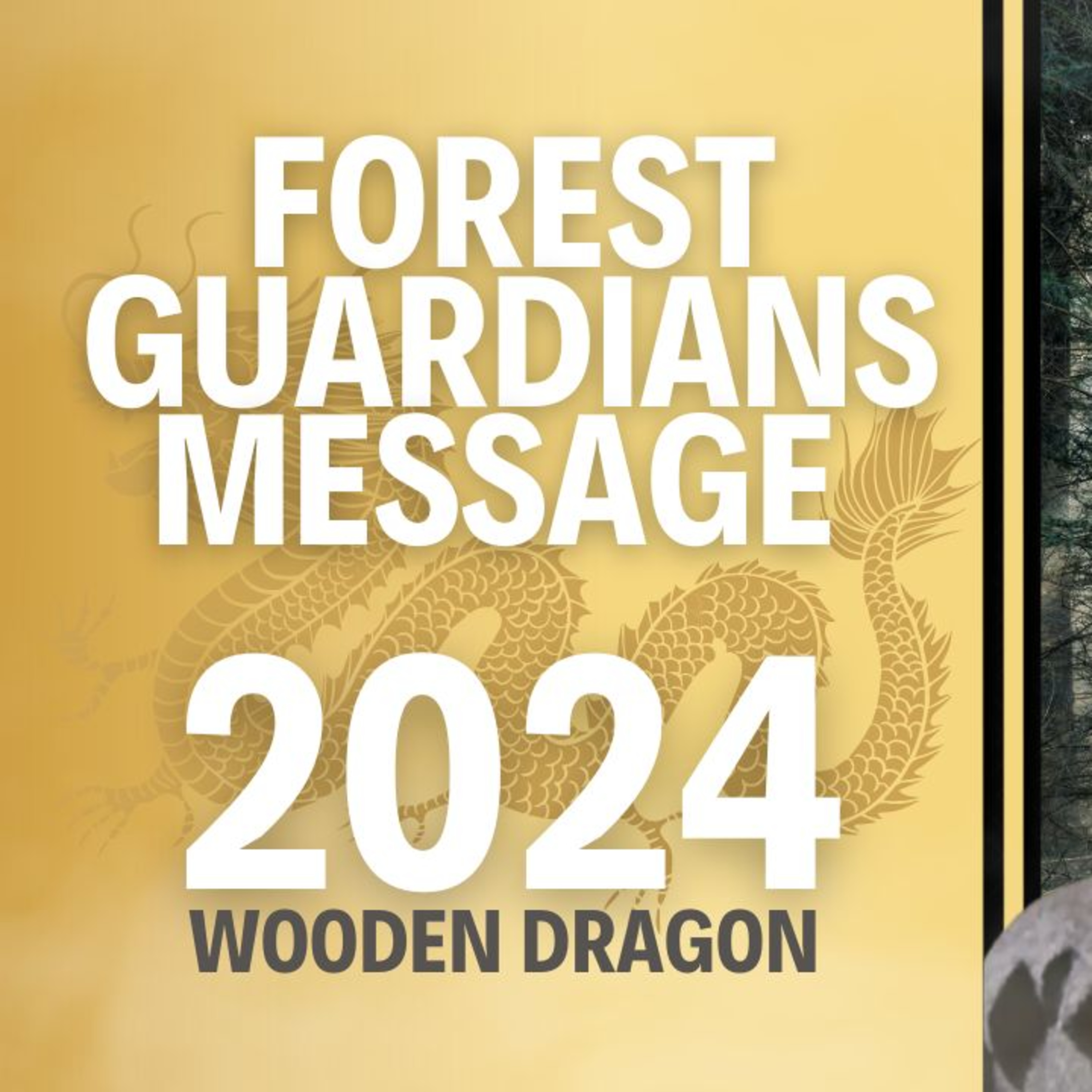 The Year of the Wooden Dragon: Insights from the Forest Guardians