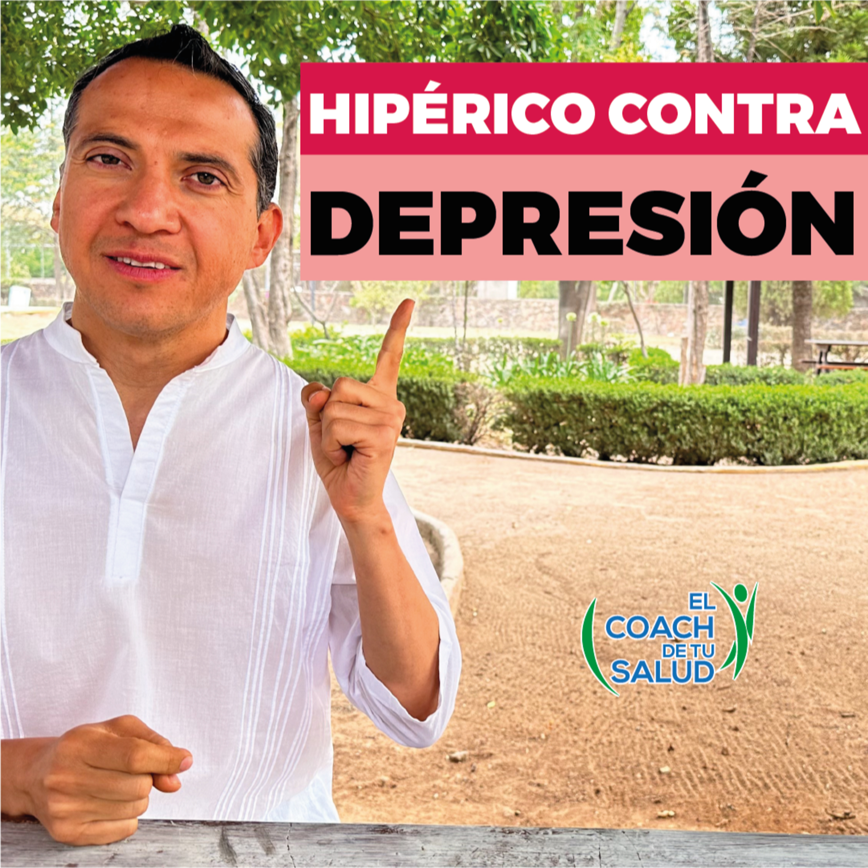 Secretos de la Hierba de San Juan contra la depresión (Hipérico) episode artwork