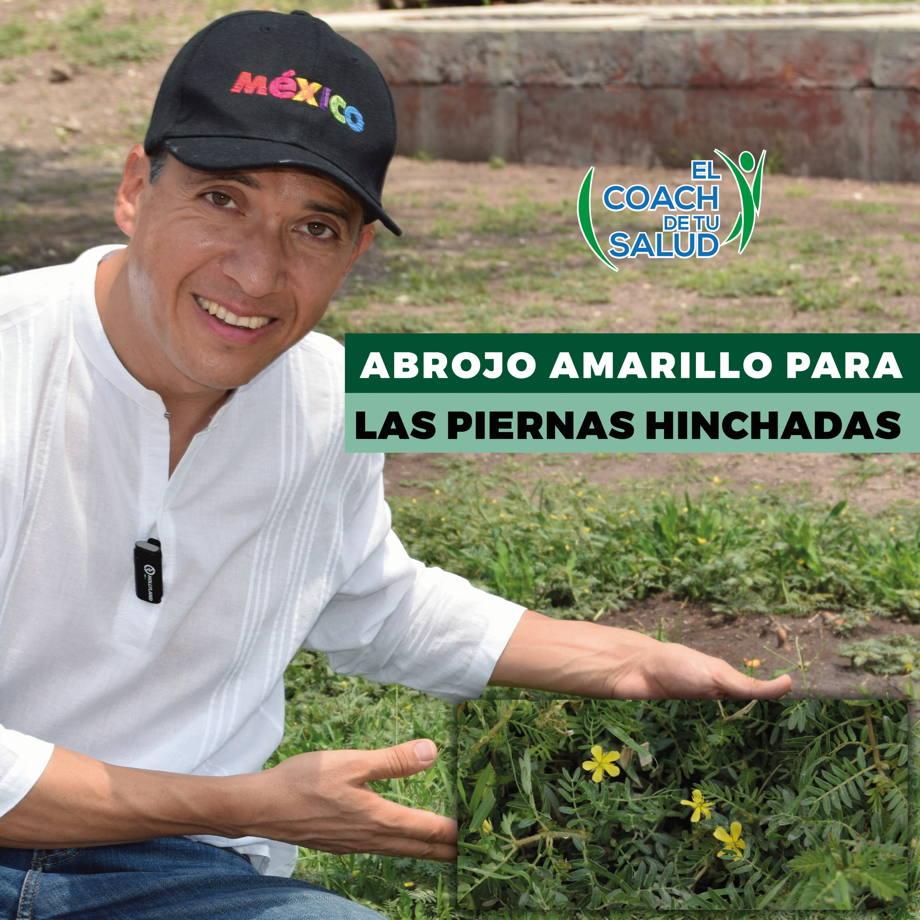 El Coach de Tu Salud