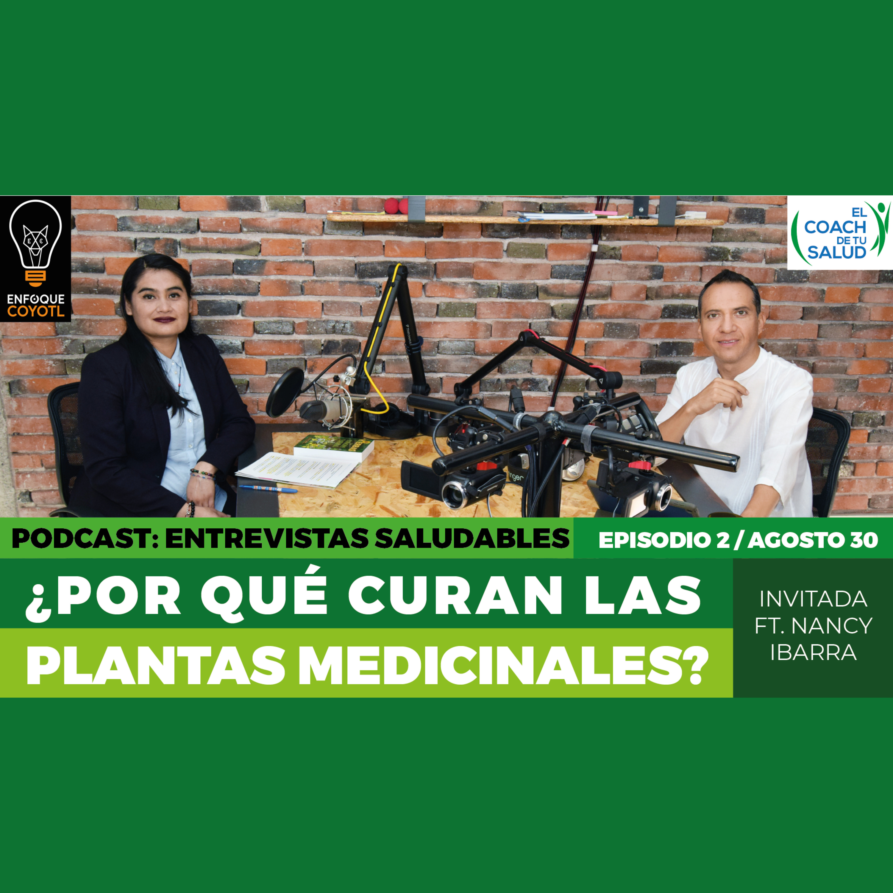 ¿Por qué curan las plantas medicinales?/Entrevistas saludables con el Coach de tu Salud episode artwork
