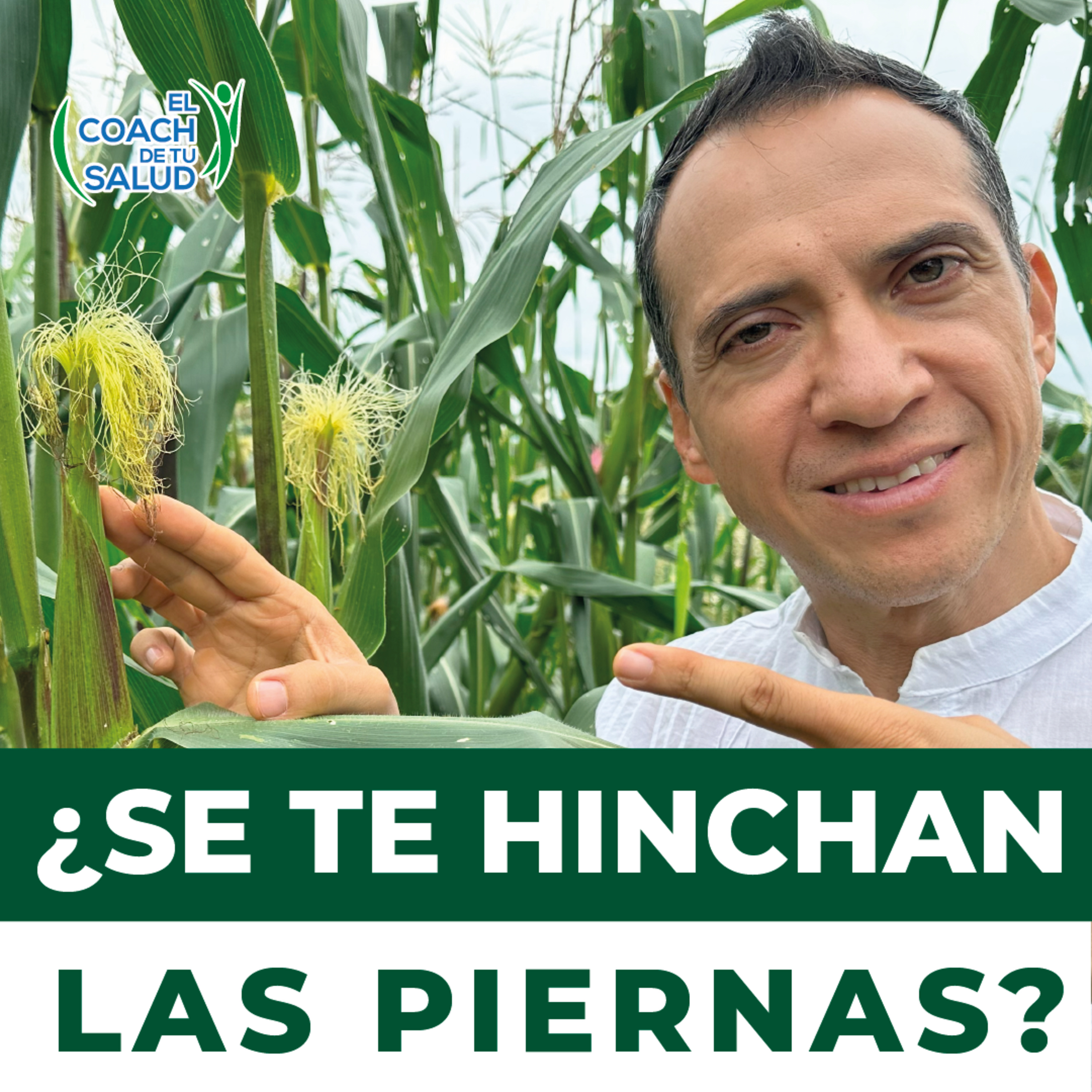 ¿Se te hinchan las piernas? Un té de pelos de elote te puede ayudar  episode artwork