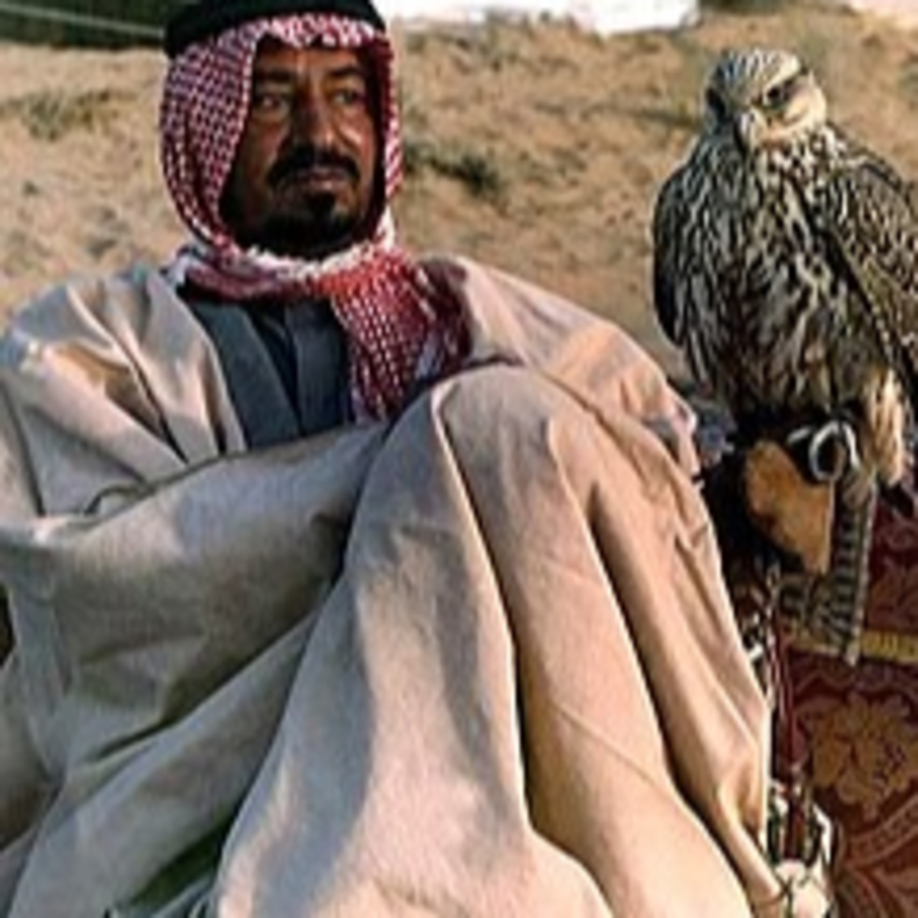 Gerontokracja braci Saudów. Historia Arabii 3 // Za Rubieżą - 326 episode artwork