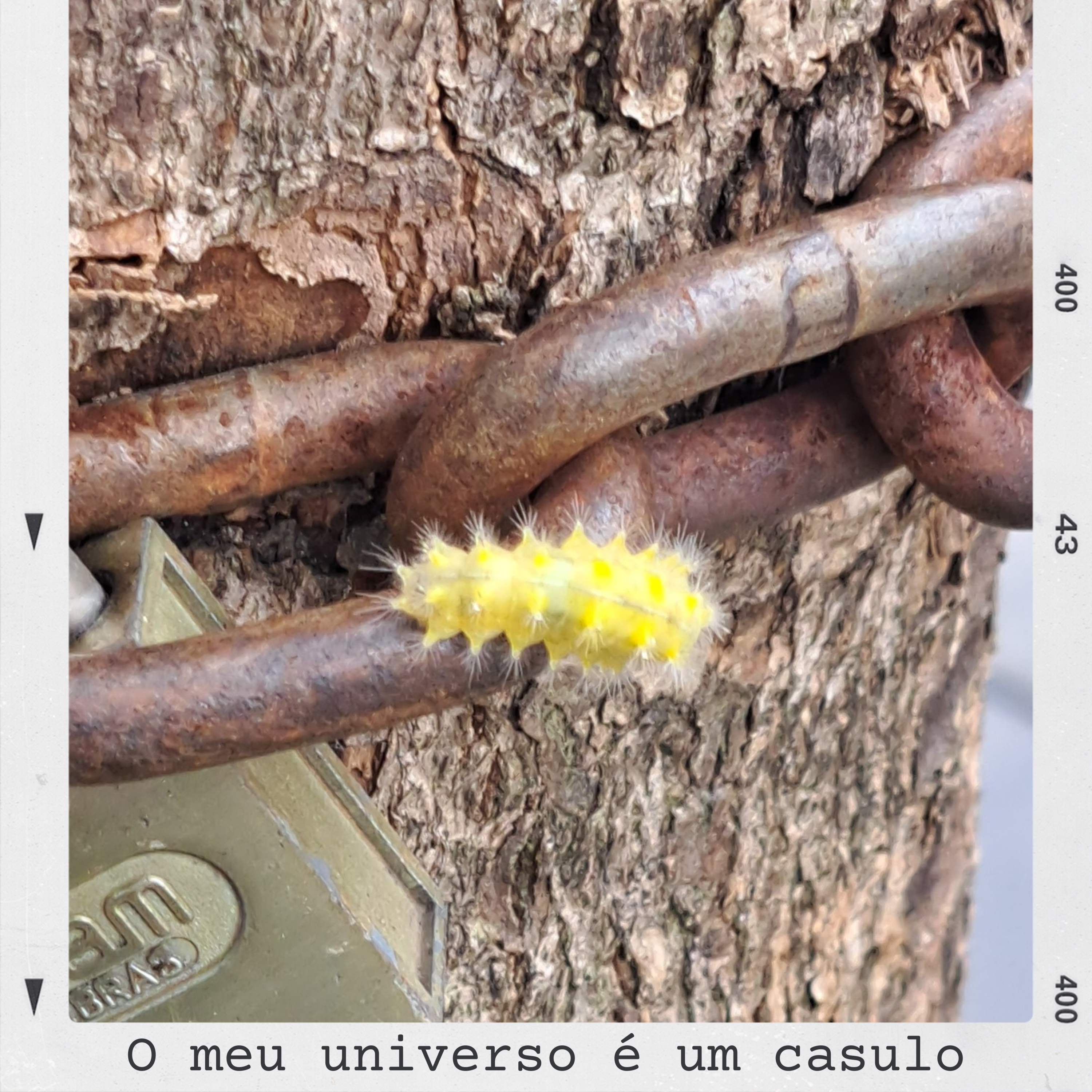 9 - Aquilo lá no céu episode artwork