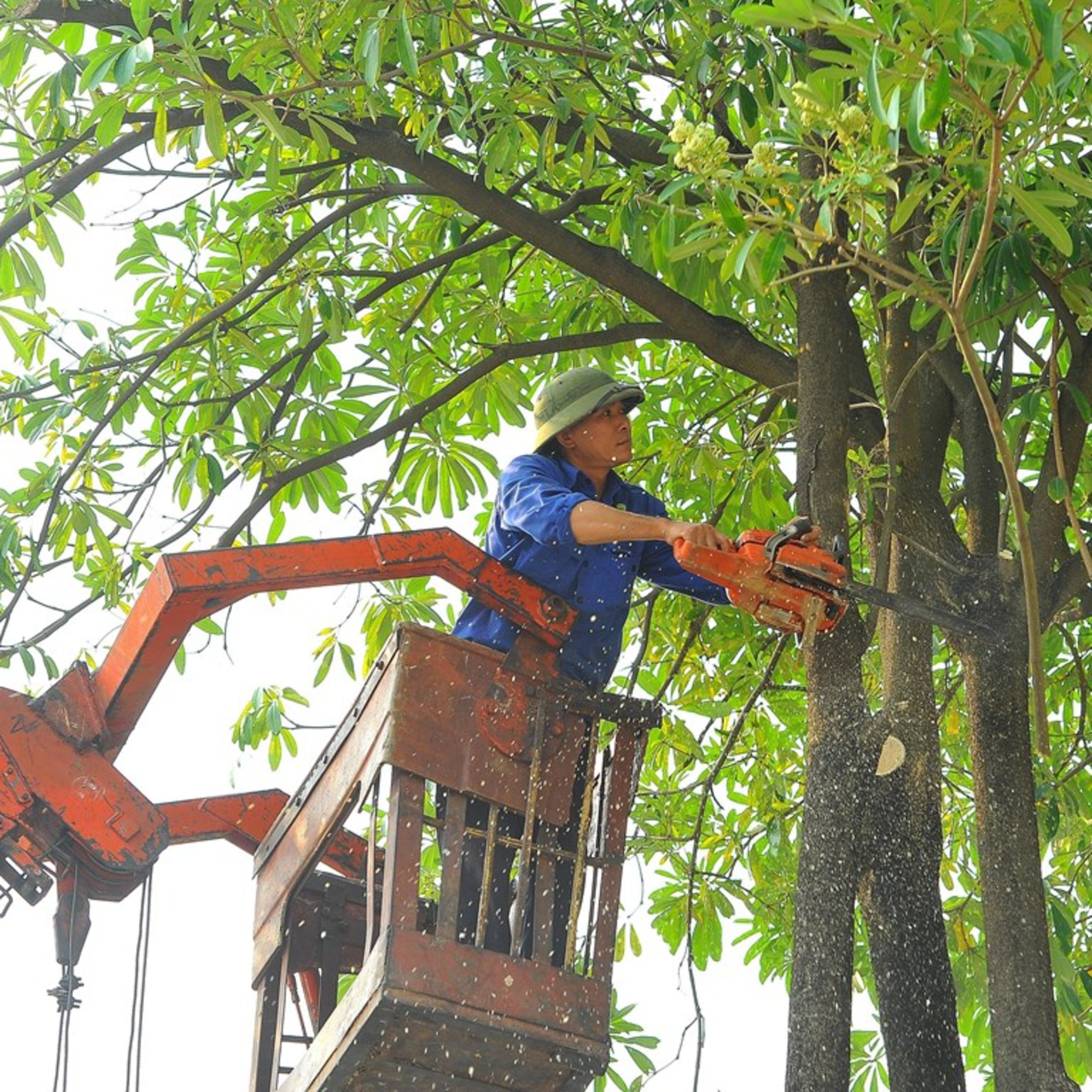 Những người làm nghề “ăn cơm dưới đất làm việc trên trời”