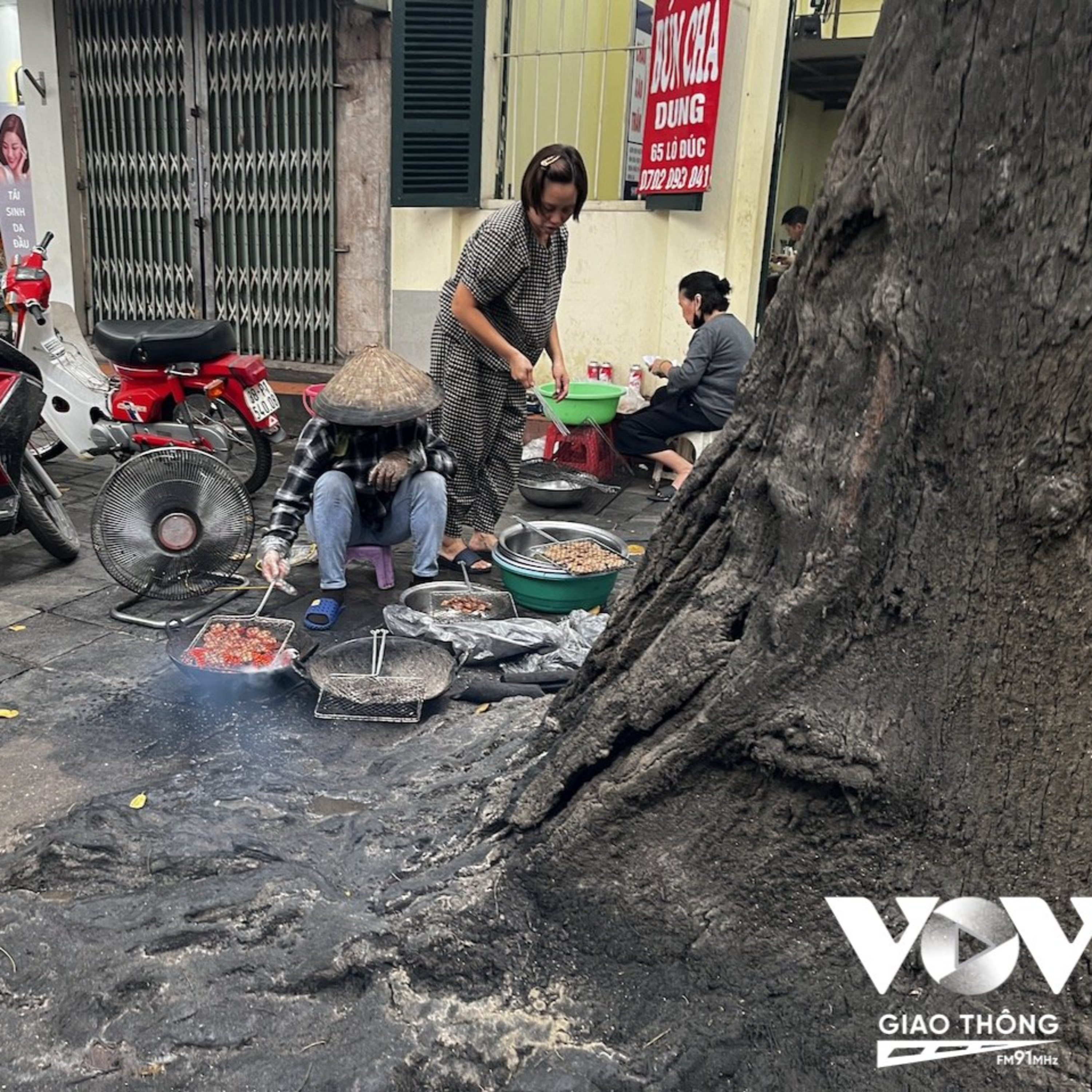 Thị thành ký: Cây xanh ở thủ đô đang bị đối xử như thế nào?