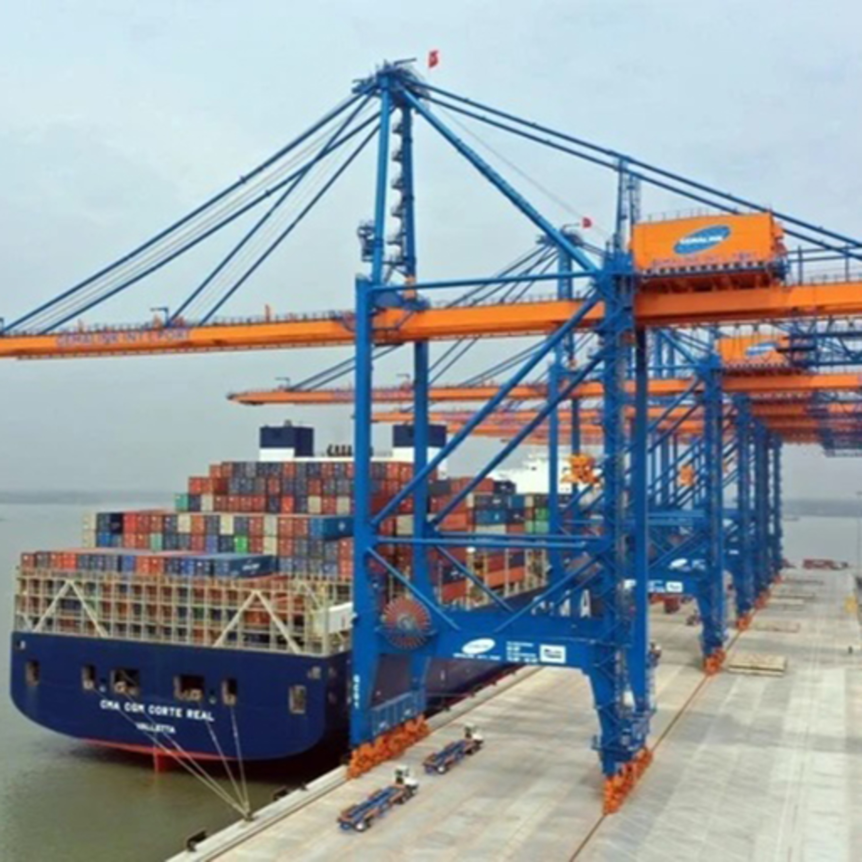 Doanh nghiệp xuất nhập khẩu bị “thả trôi” khi phí bốc dỡ hàng hoá của các hãng tàu biển nước ngoài “thiếu mỏ neo” episode artwork