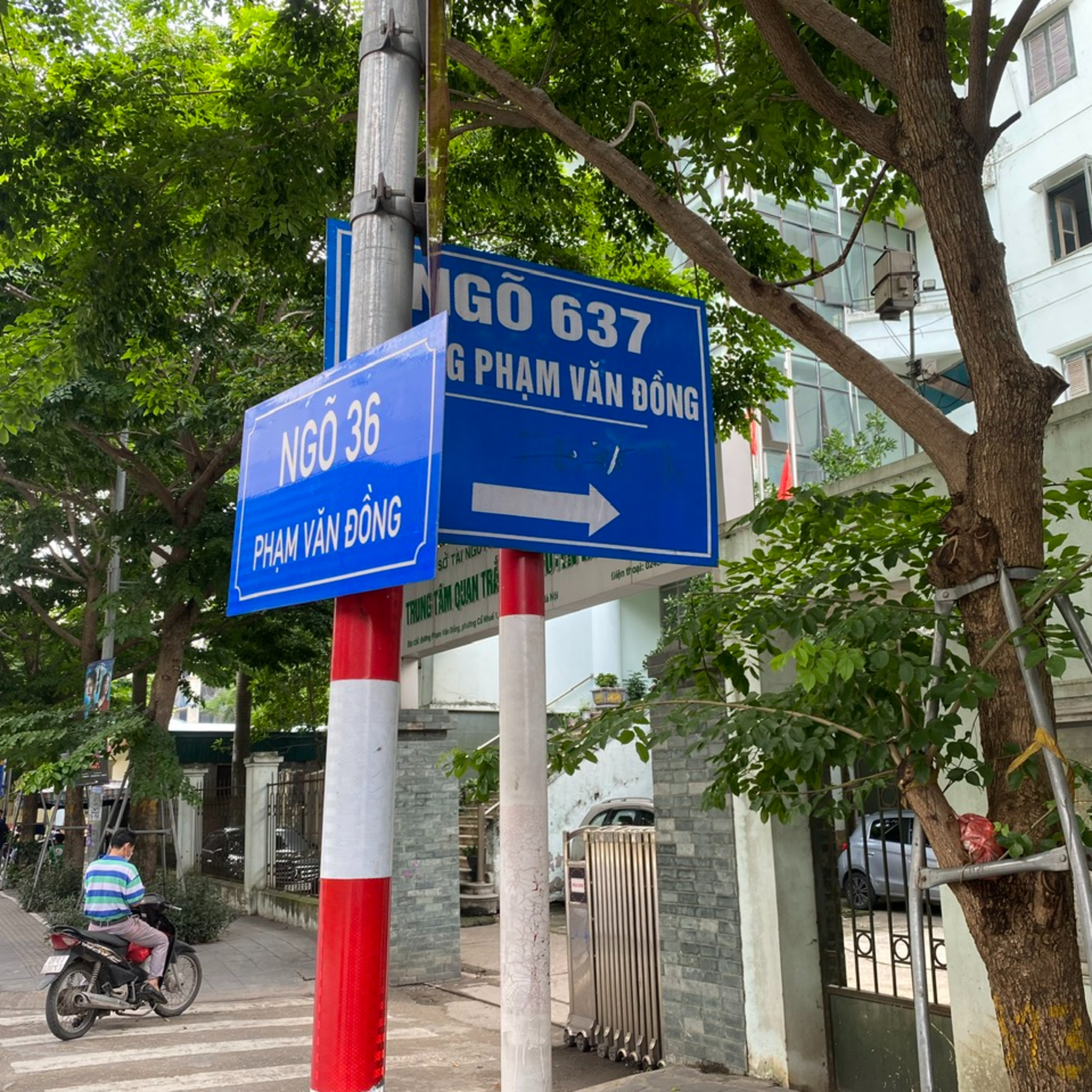Trò chuyện trên phố: Loạn số nhà, tài xế mỏi mắt tìm địa chỉ episode artwork