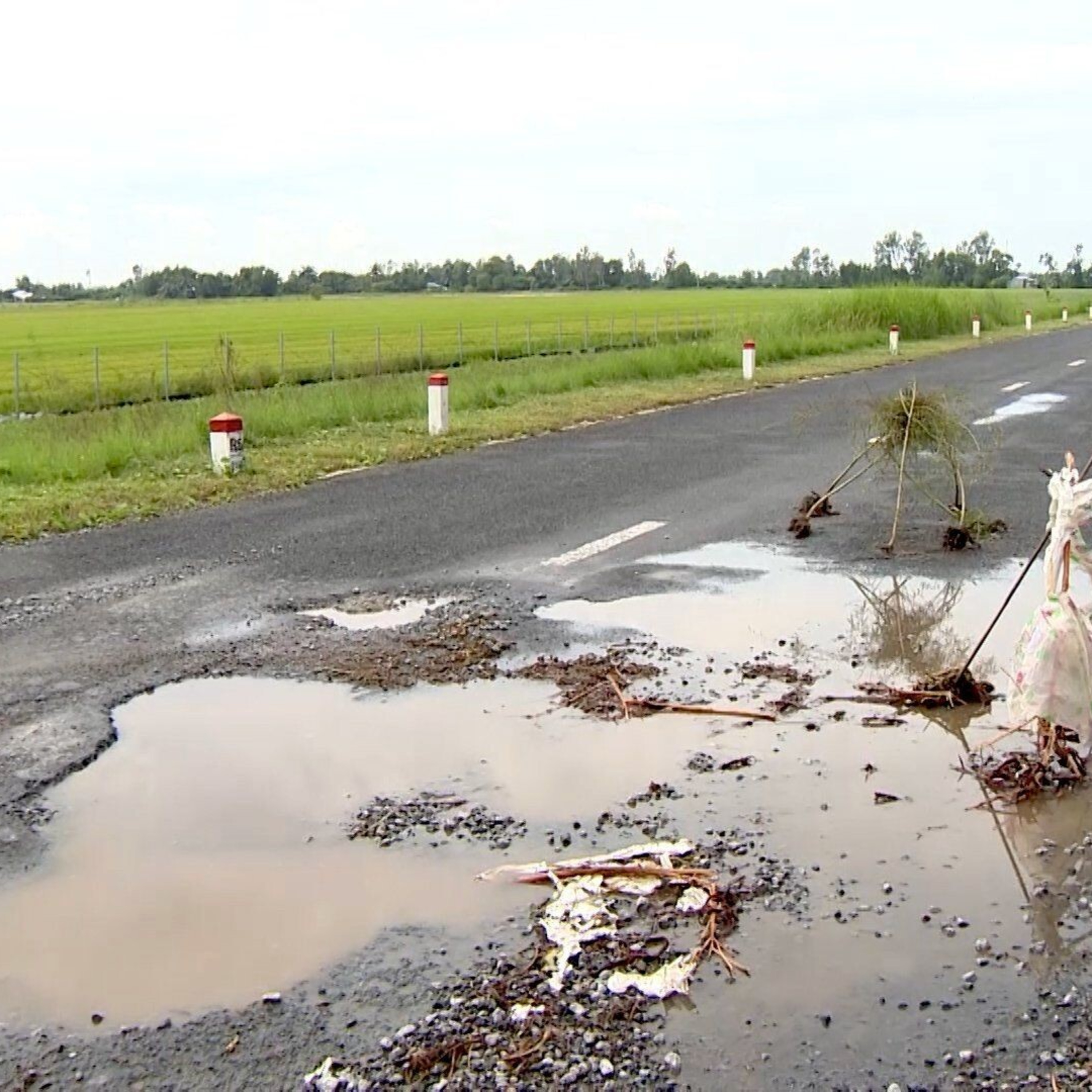 Đối thoại: Cao tốc Lộ Tẻ - Rạch Sỏi xuống cấp nghiêm trọng sau 3 năm vận hành – Nguyên nhân vì đâu? episode artwork
