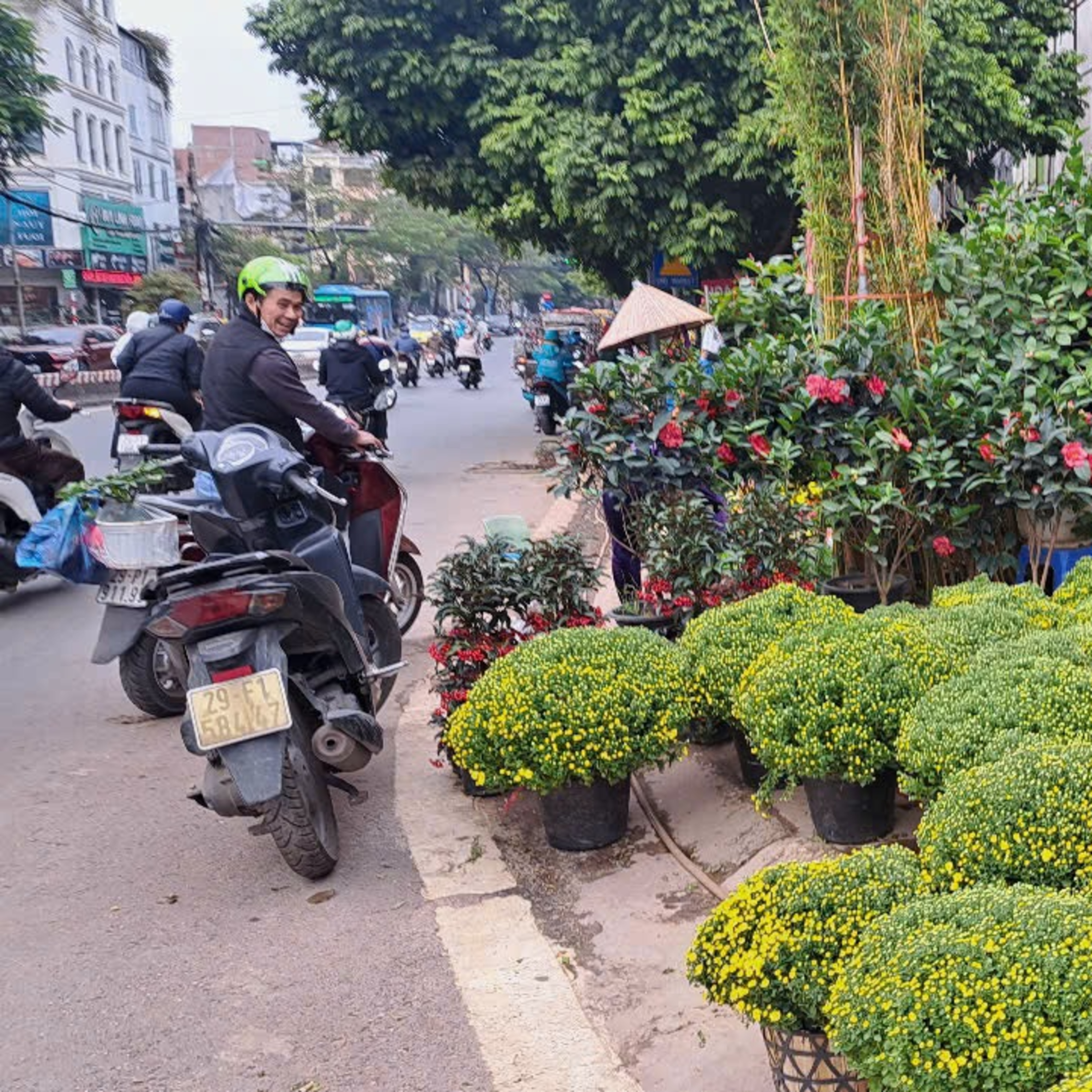 Phố chợ hoa, cây cảnh: Tắc đường mọi nẻo