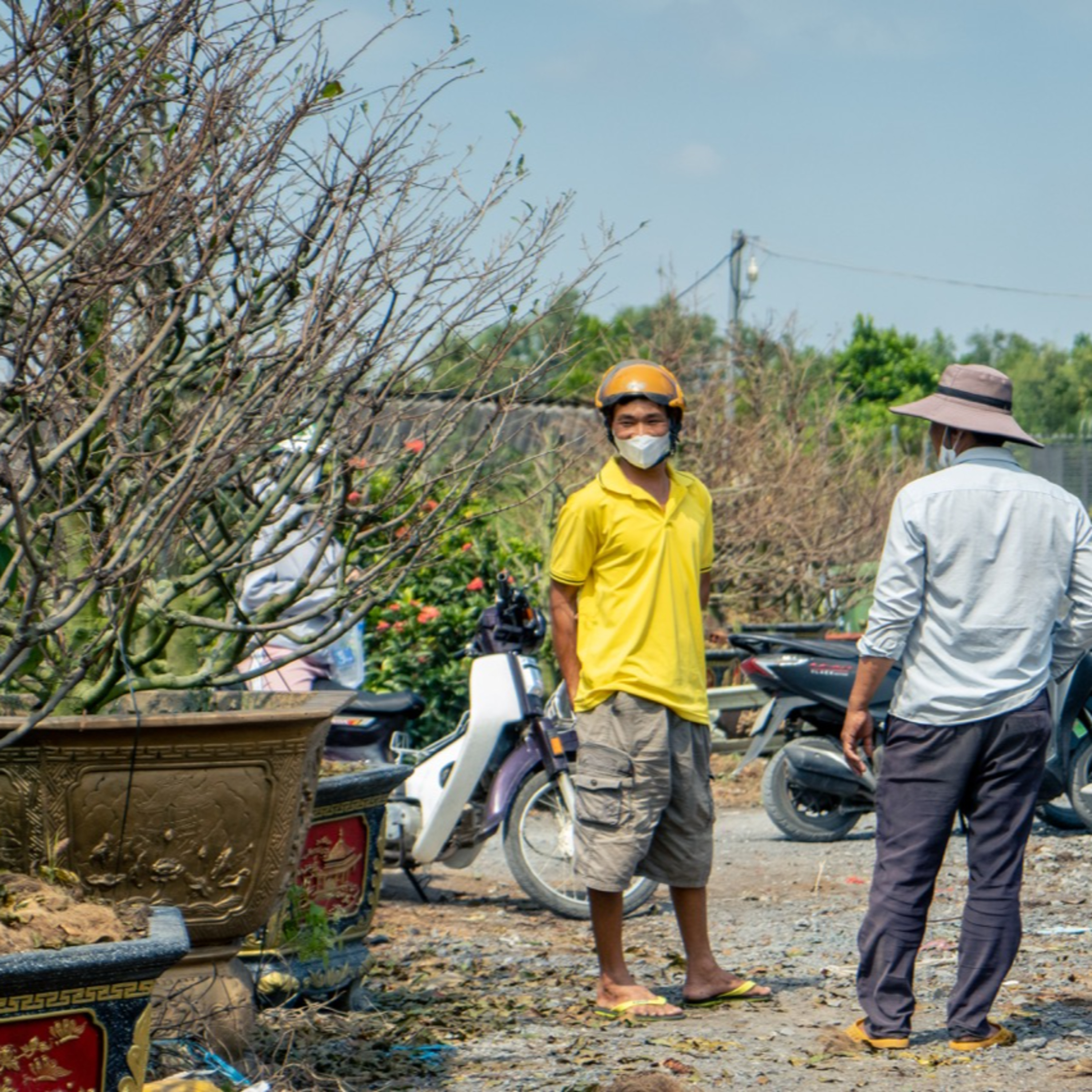 Nhật ký Đô thị