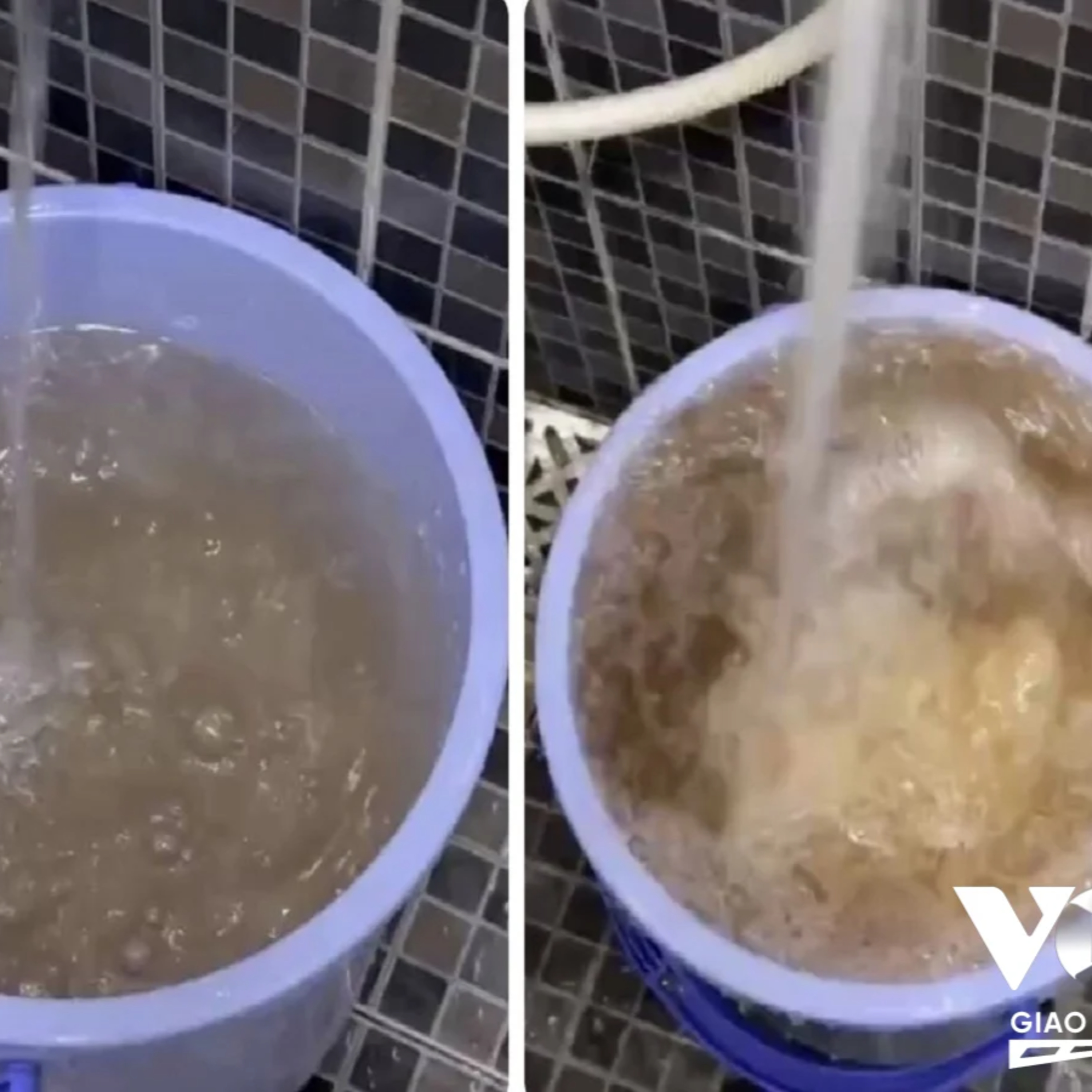 Đối thoại: TP.HCM: Chất lượng cấp nước chung cư được kiểm soát thế nào?