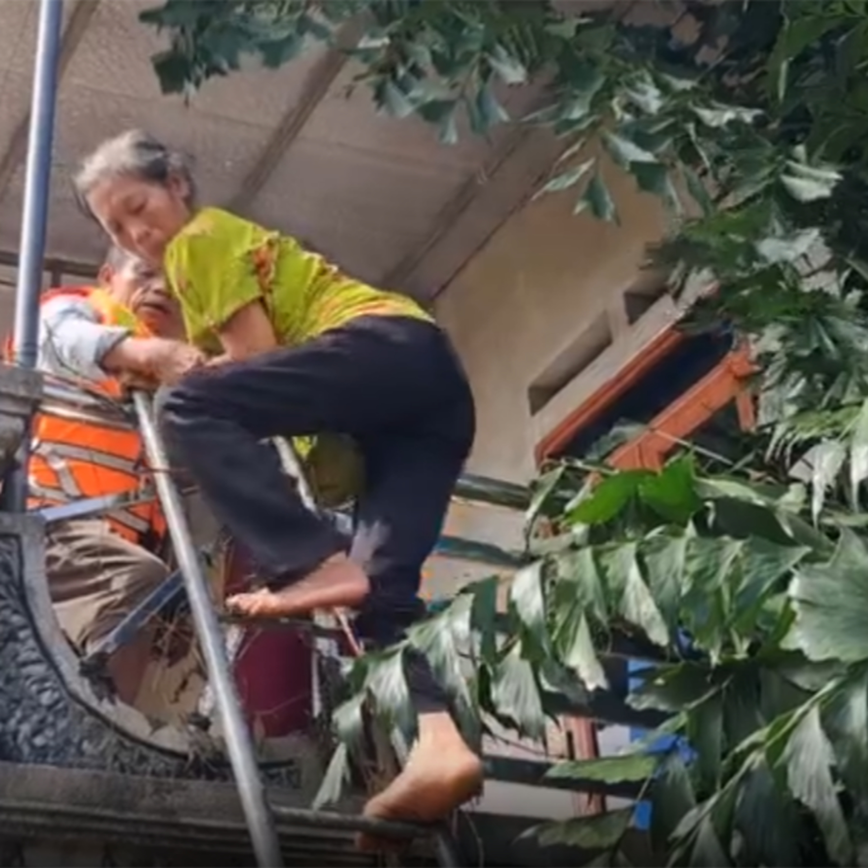 Nhật ký Đô thị