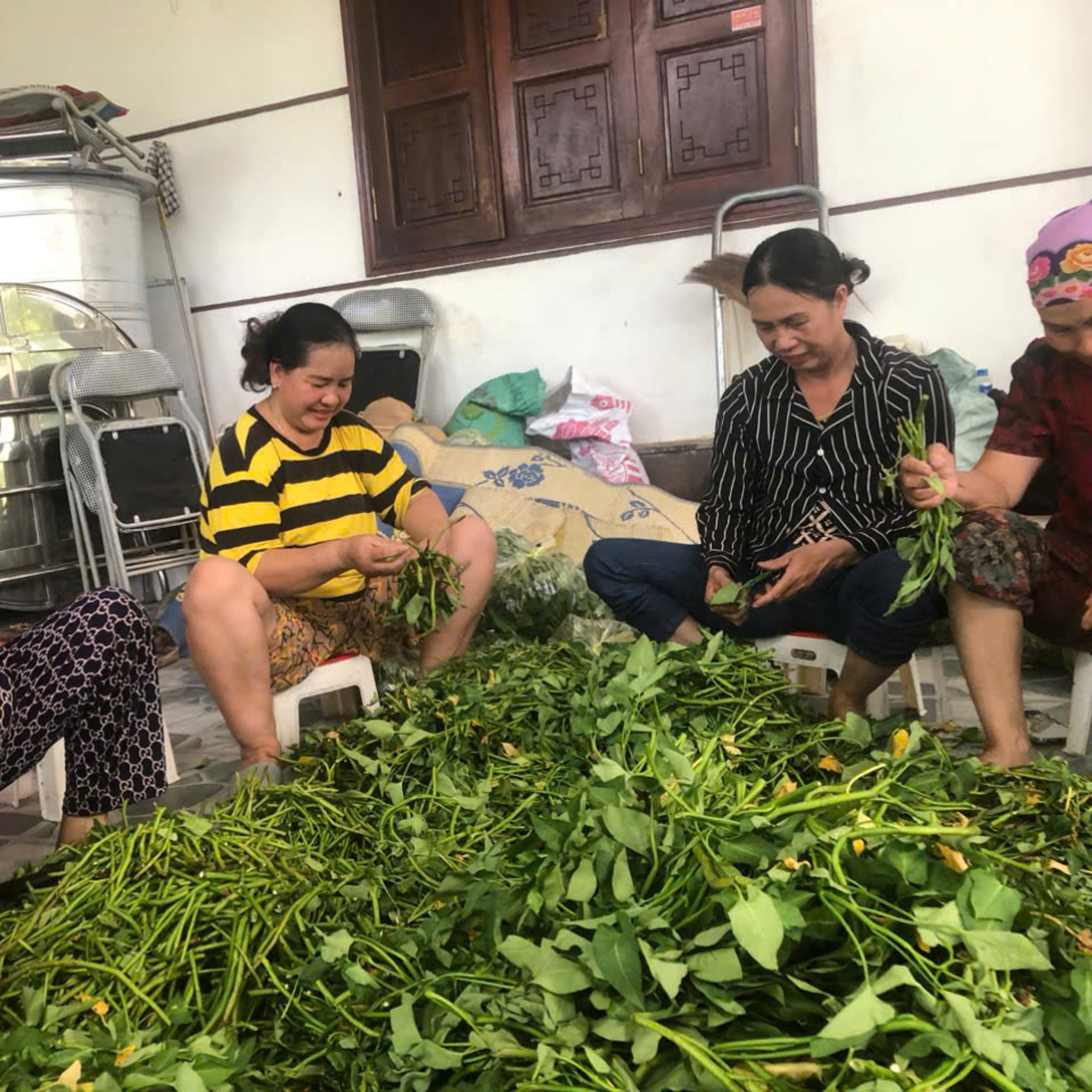 Những bó rau Quê lúa kịp thời tiếp sức đồng bào vùng lũ lụt