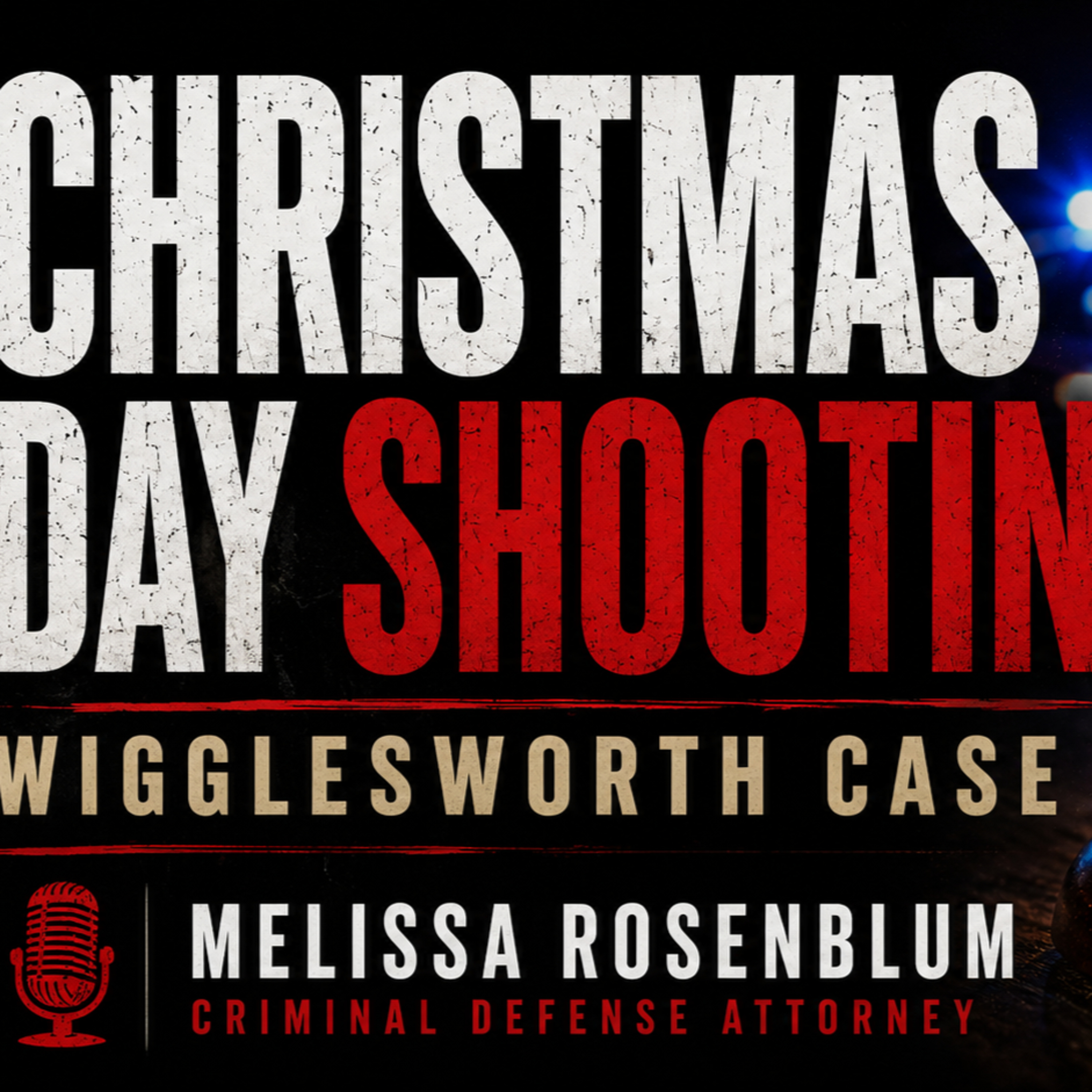 Melissa Rosenblum on the Marylou Wigglesworth Self Defense Case