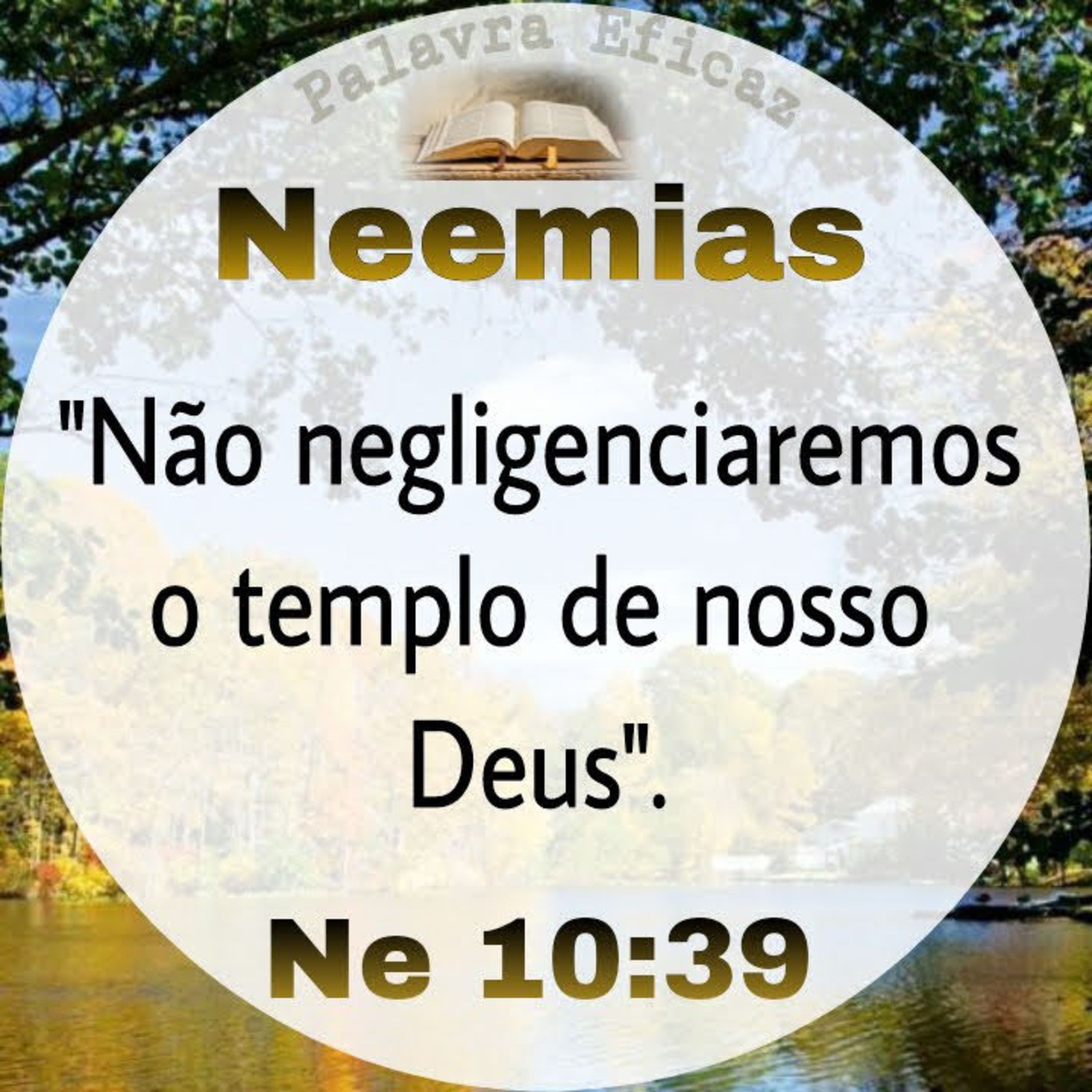 Não negligencie a palavra de Deus! episode artwork