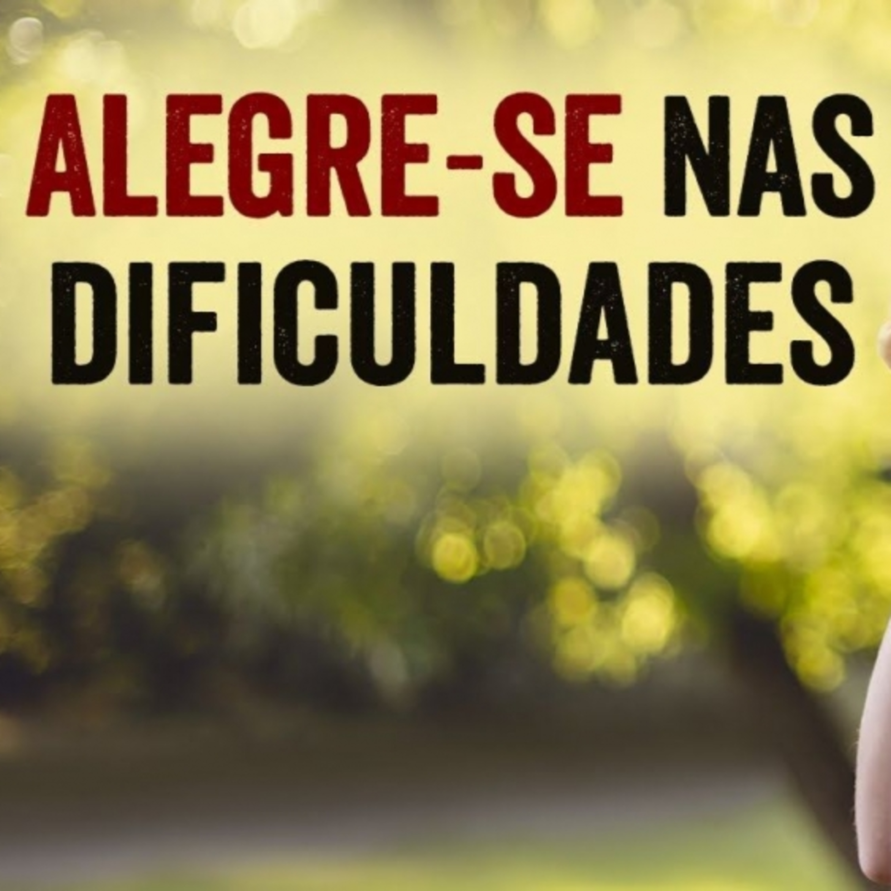 Alegre - se nas dificuldades! episode artwork