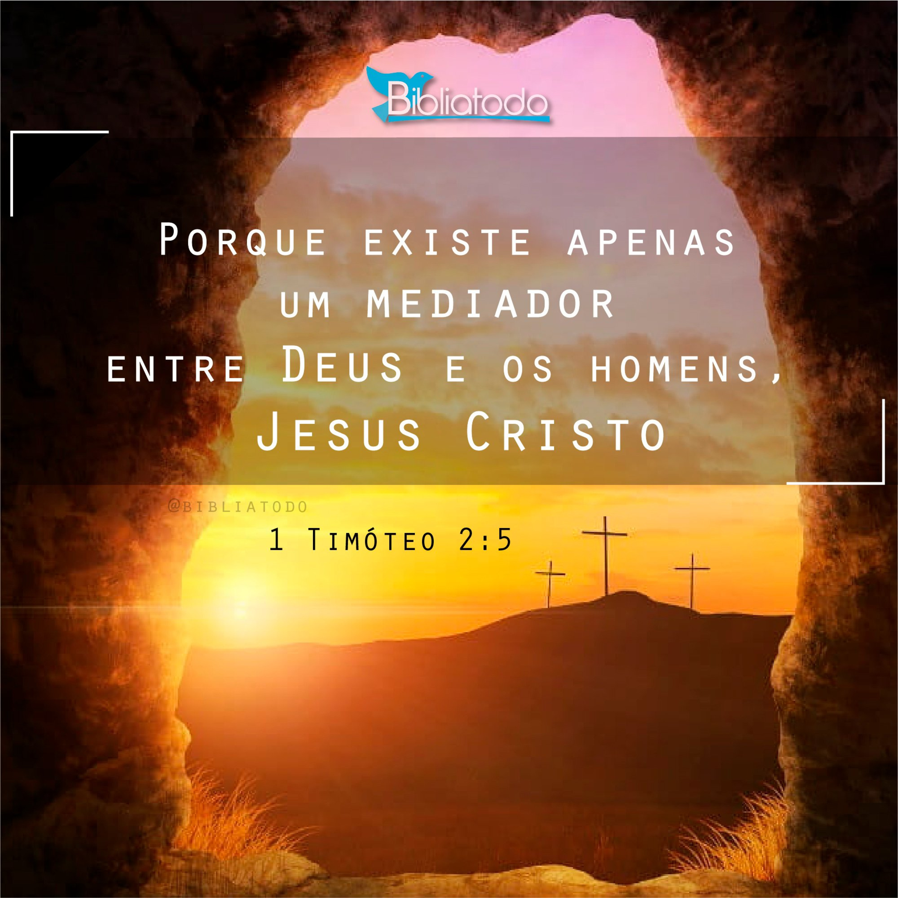Só existe um mediador entre Deus e os homens! episode artwork