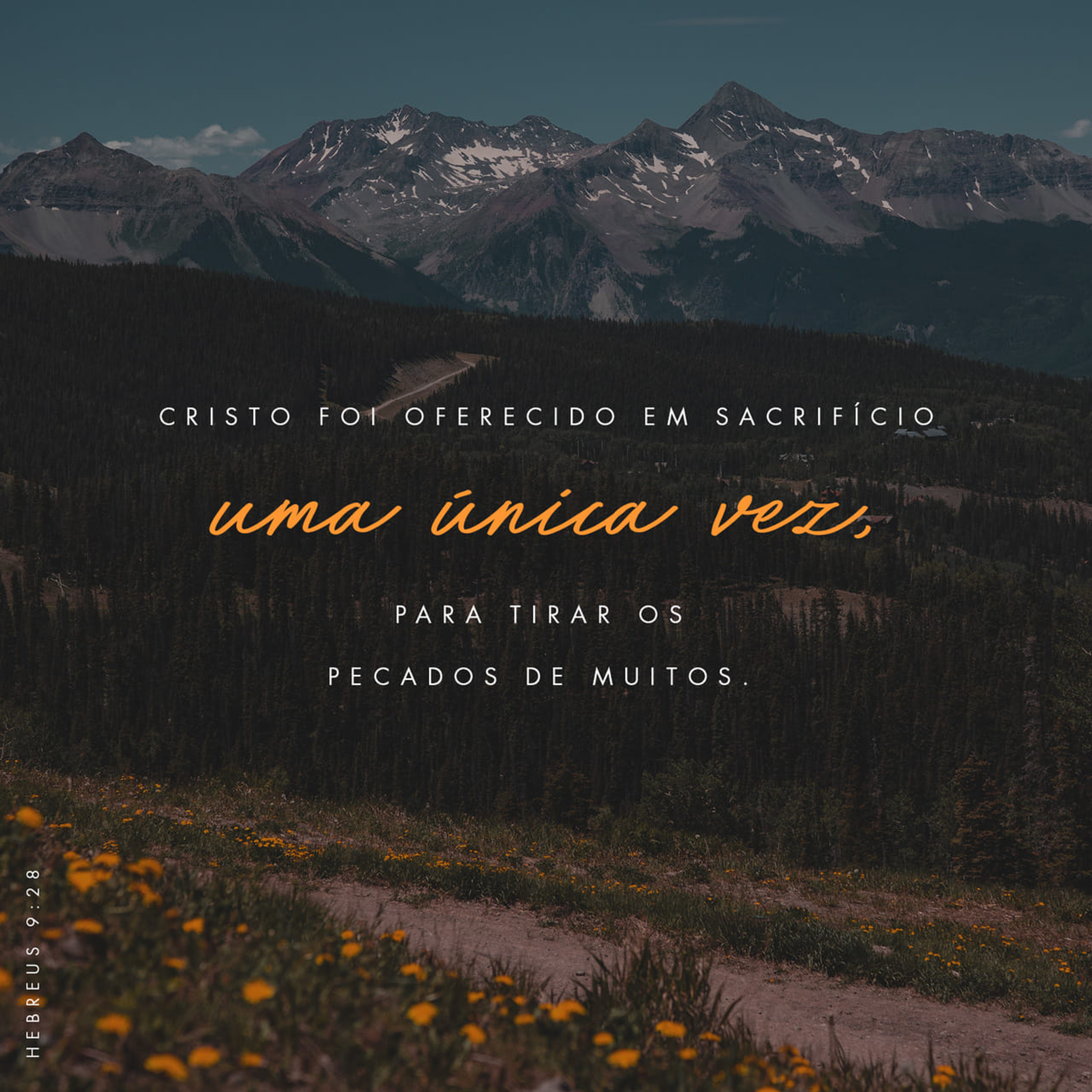 Reencarnação, boas obras ou sacrifício de Jesus? episode artwork