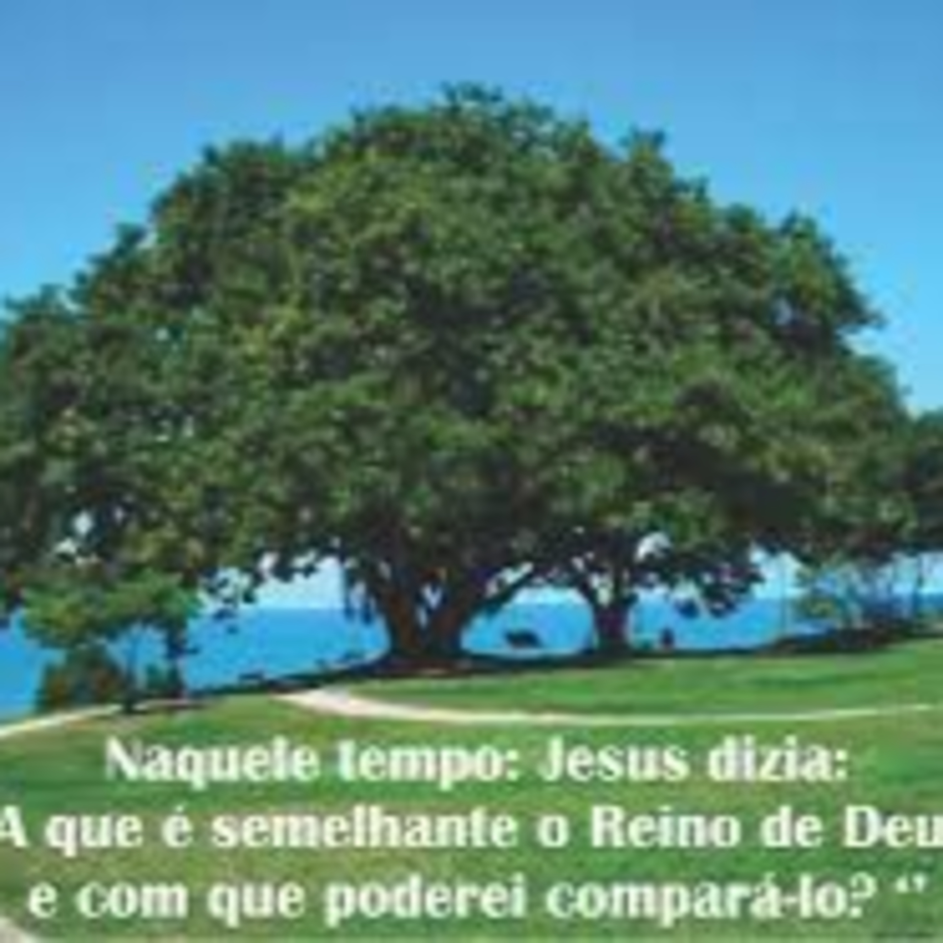 Você vive o reino dos céus? episode artwork