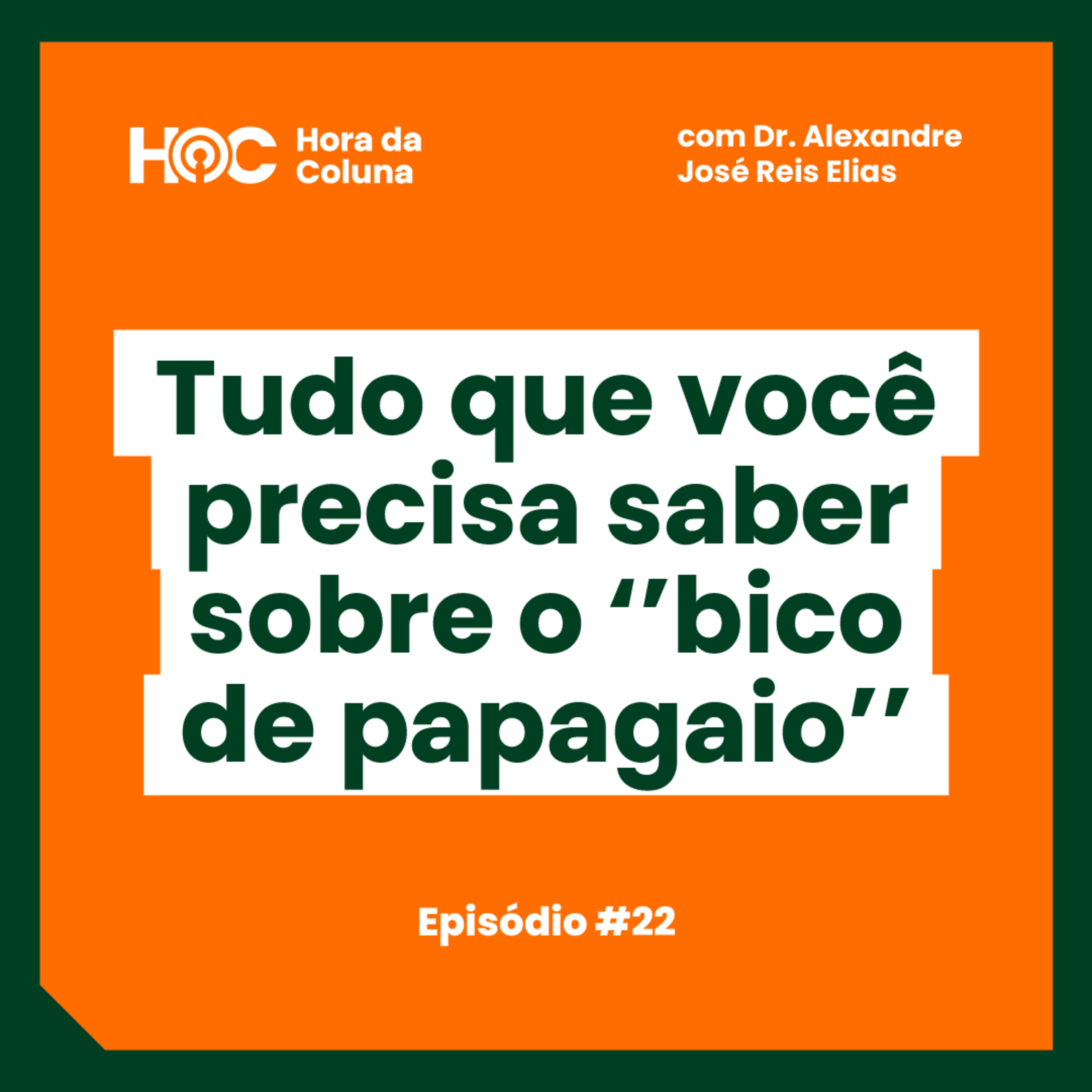 #22 Tudo que você precisa saber sobre o ‘’bico de papagaio’’ episode artwork