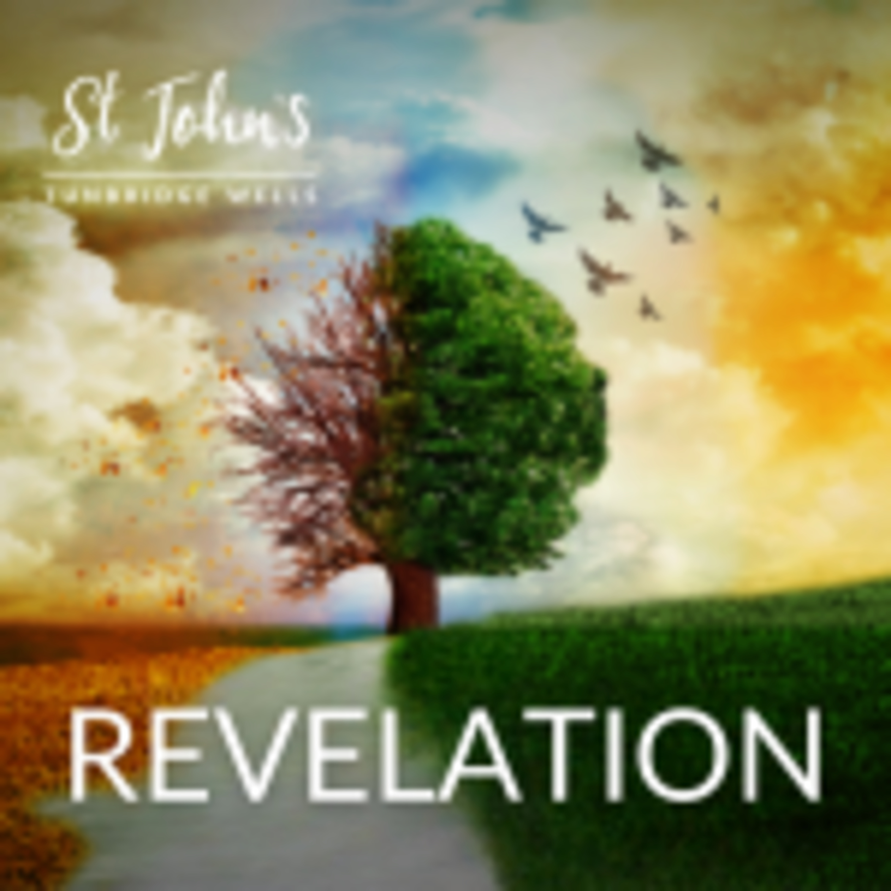 Revelation Series - 4 | Revelation 12-14 | Richard Buggs episode artwork
