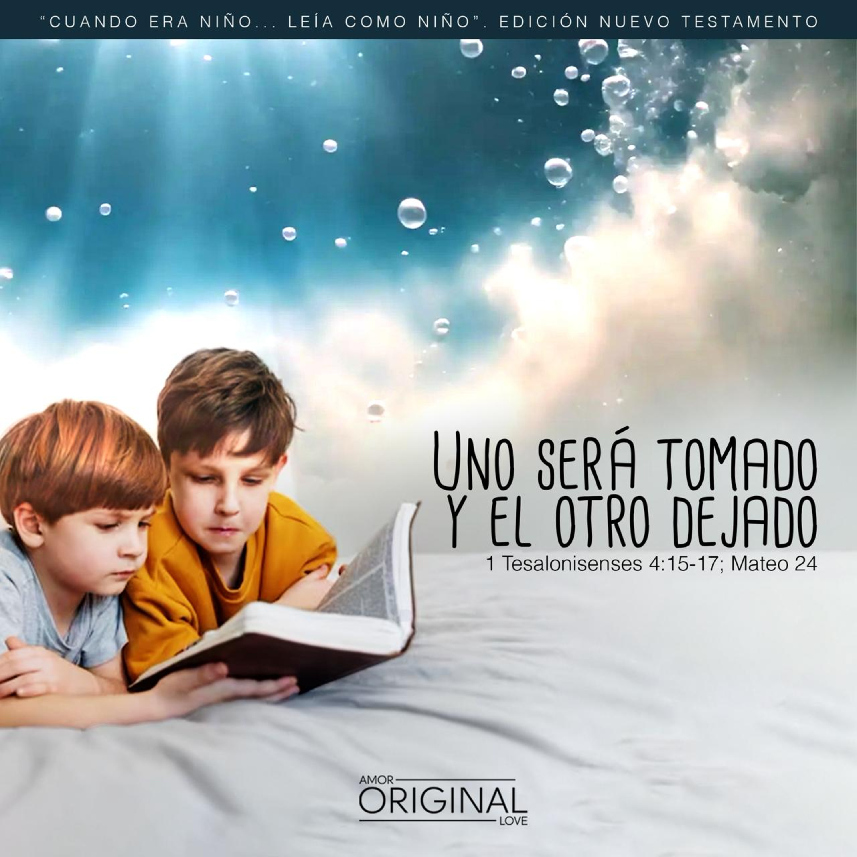Portada de Amor Original