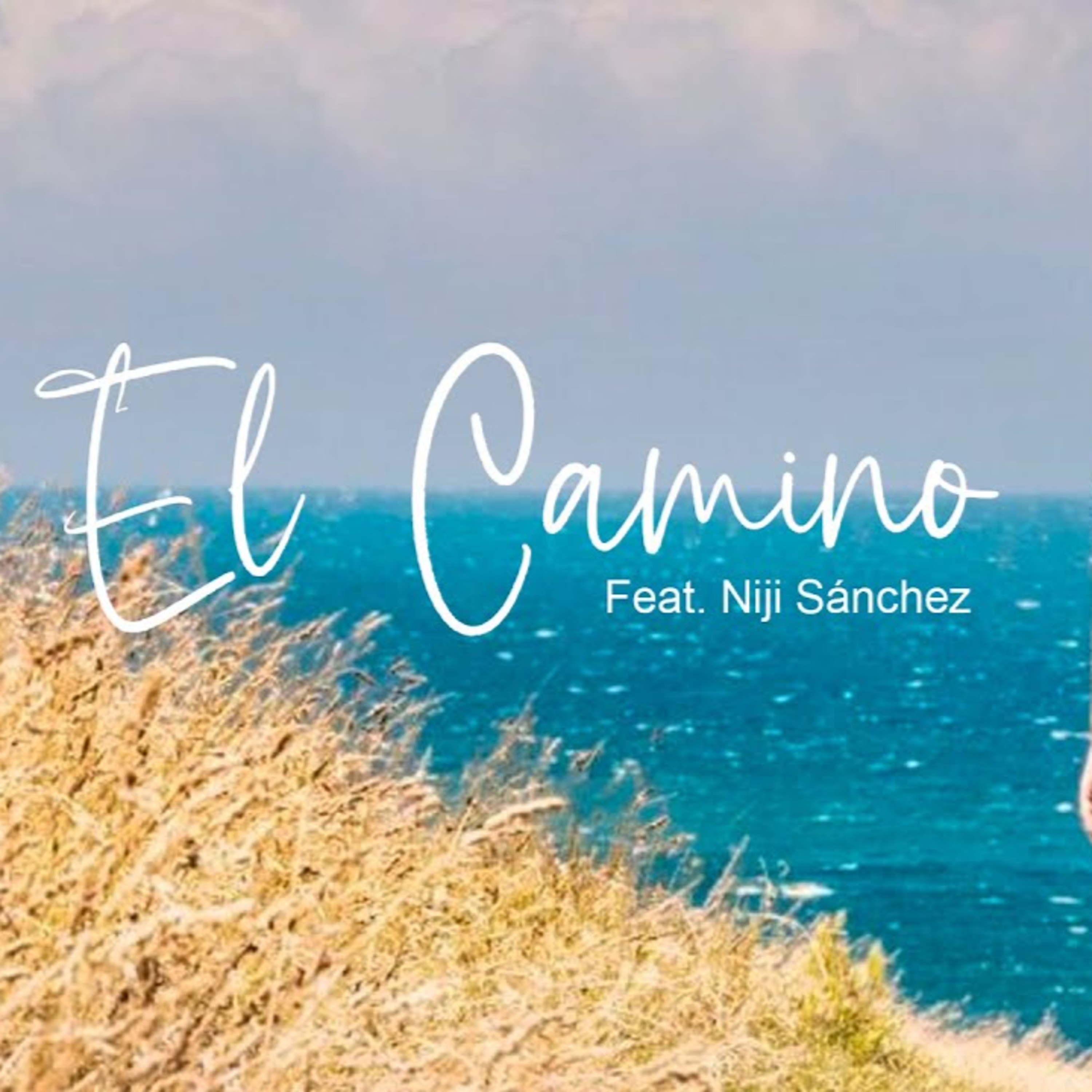 "El Camino". Una reflexión por Niji Sánchez.