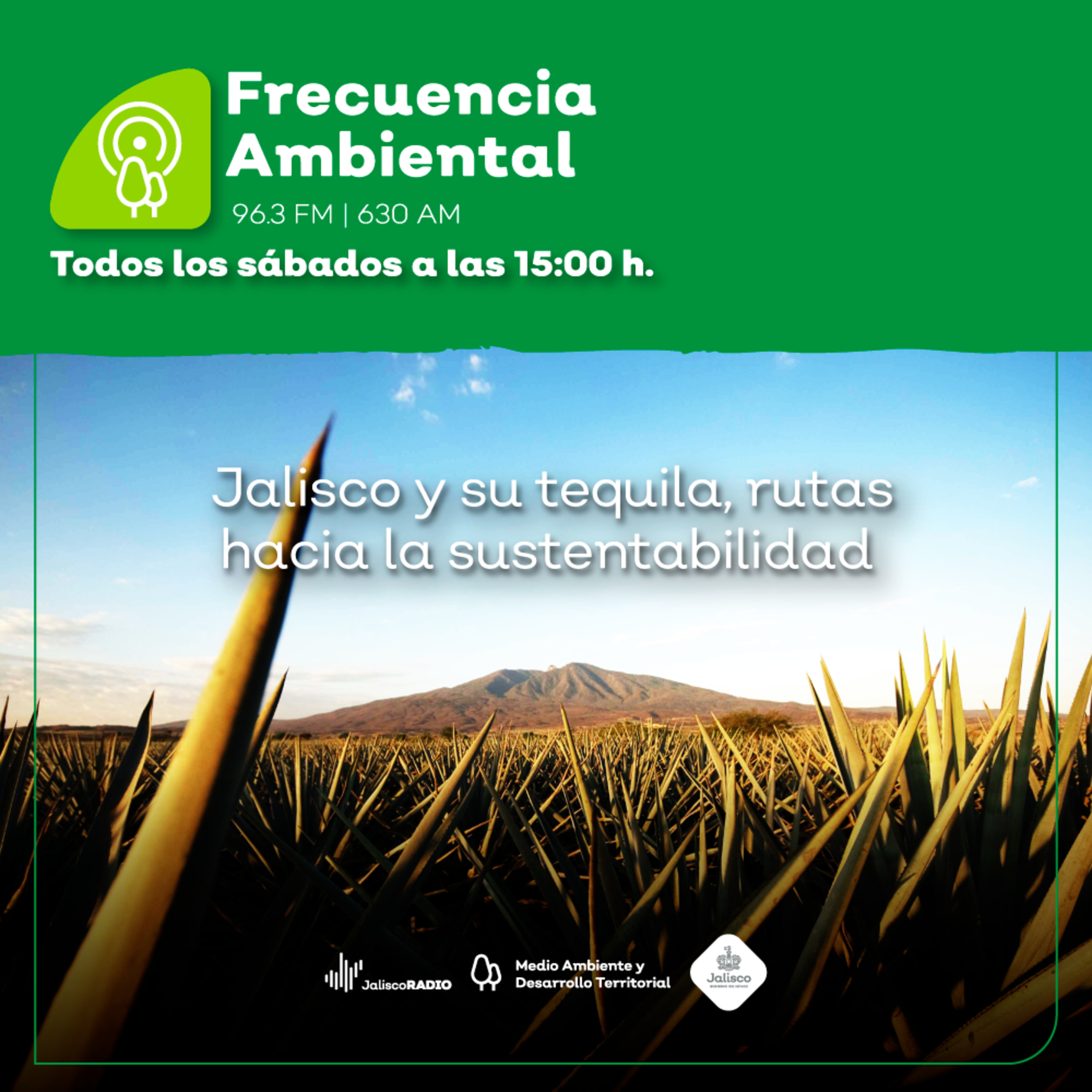 Frecuencia Ambiental