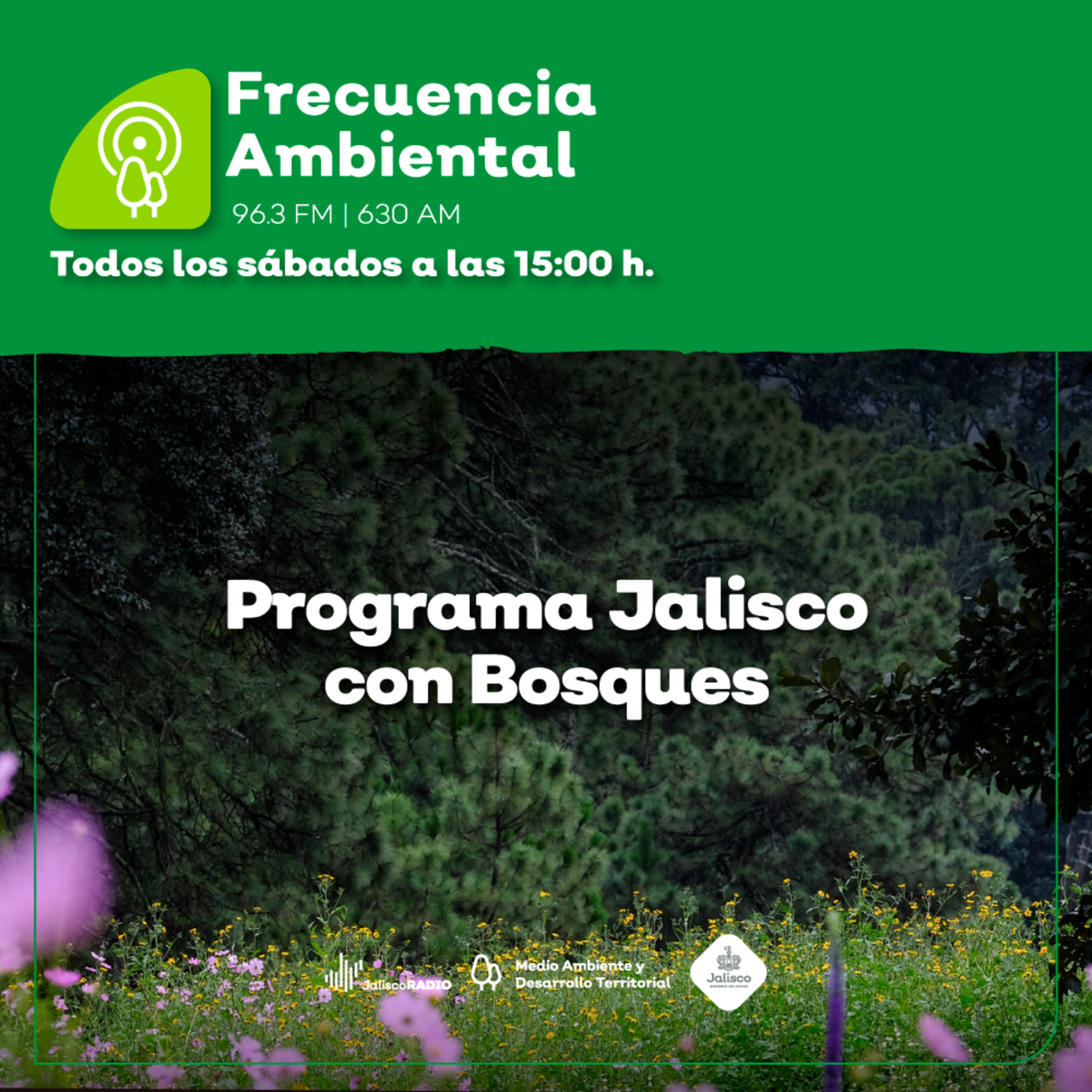 Frecuencia Ambiental