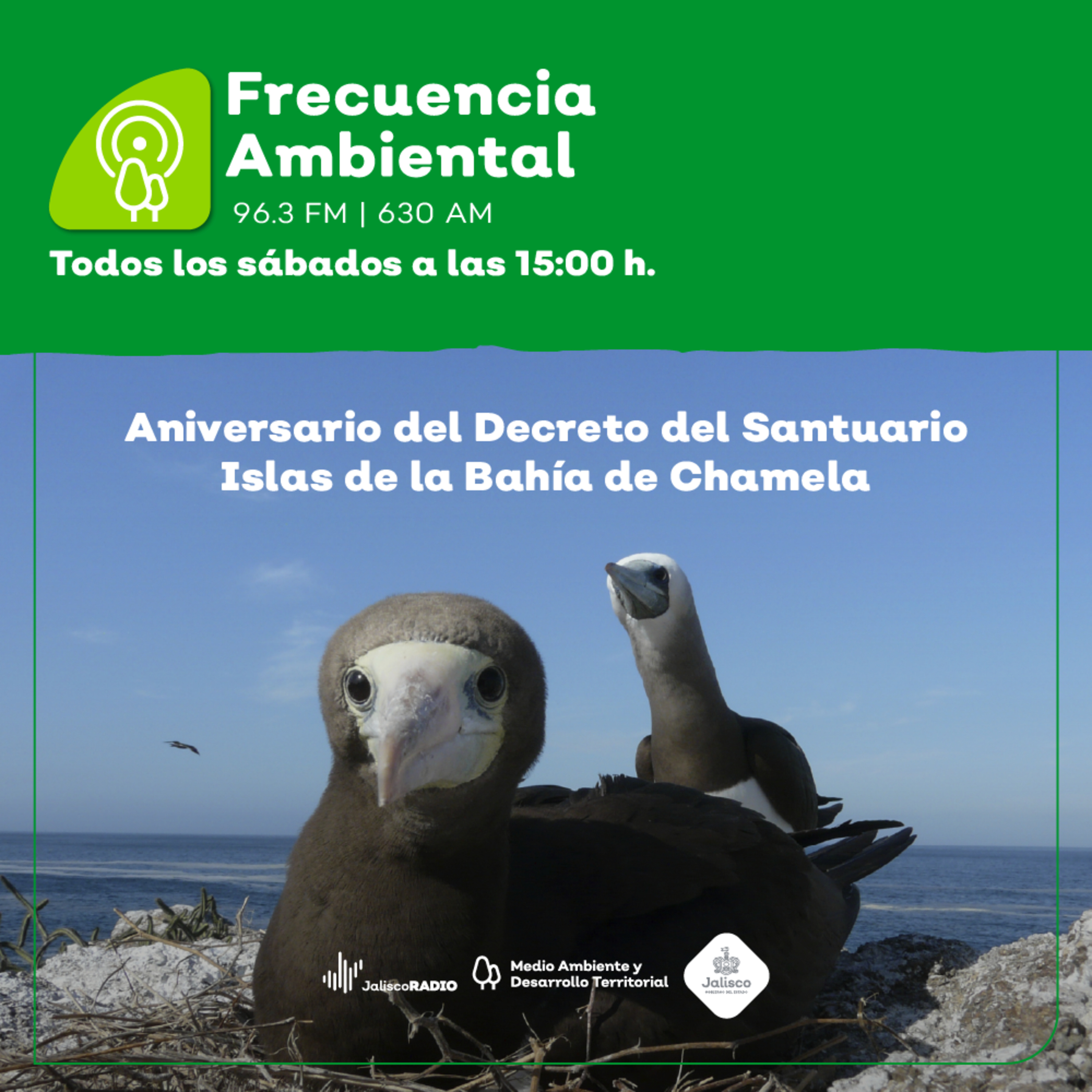 Frecuencia Ambiental