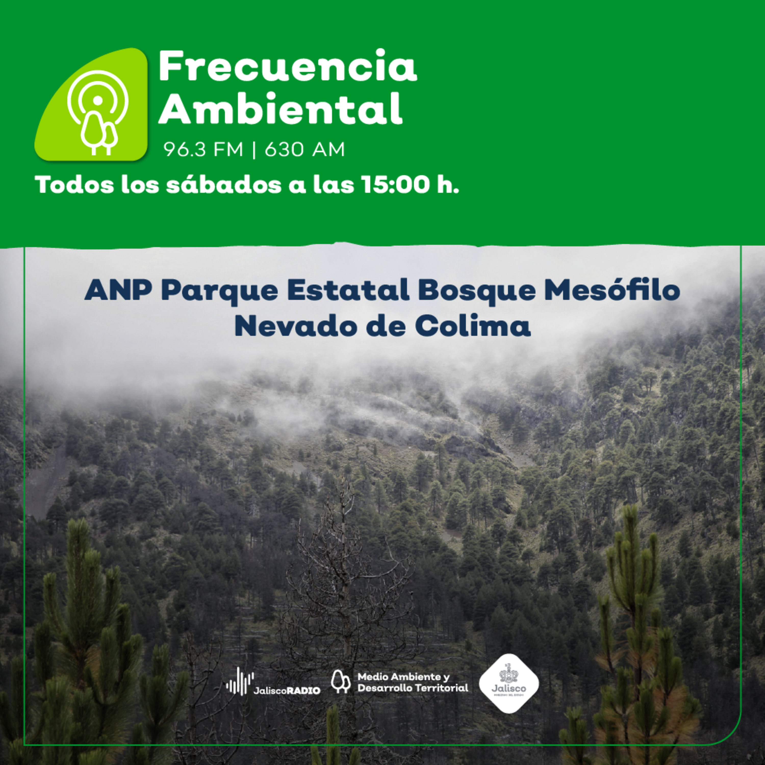 Episodio 160. ANP Parque Estatal Bosque Mesófilo Nevado de Colima