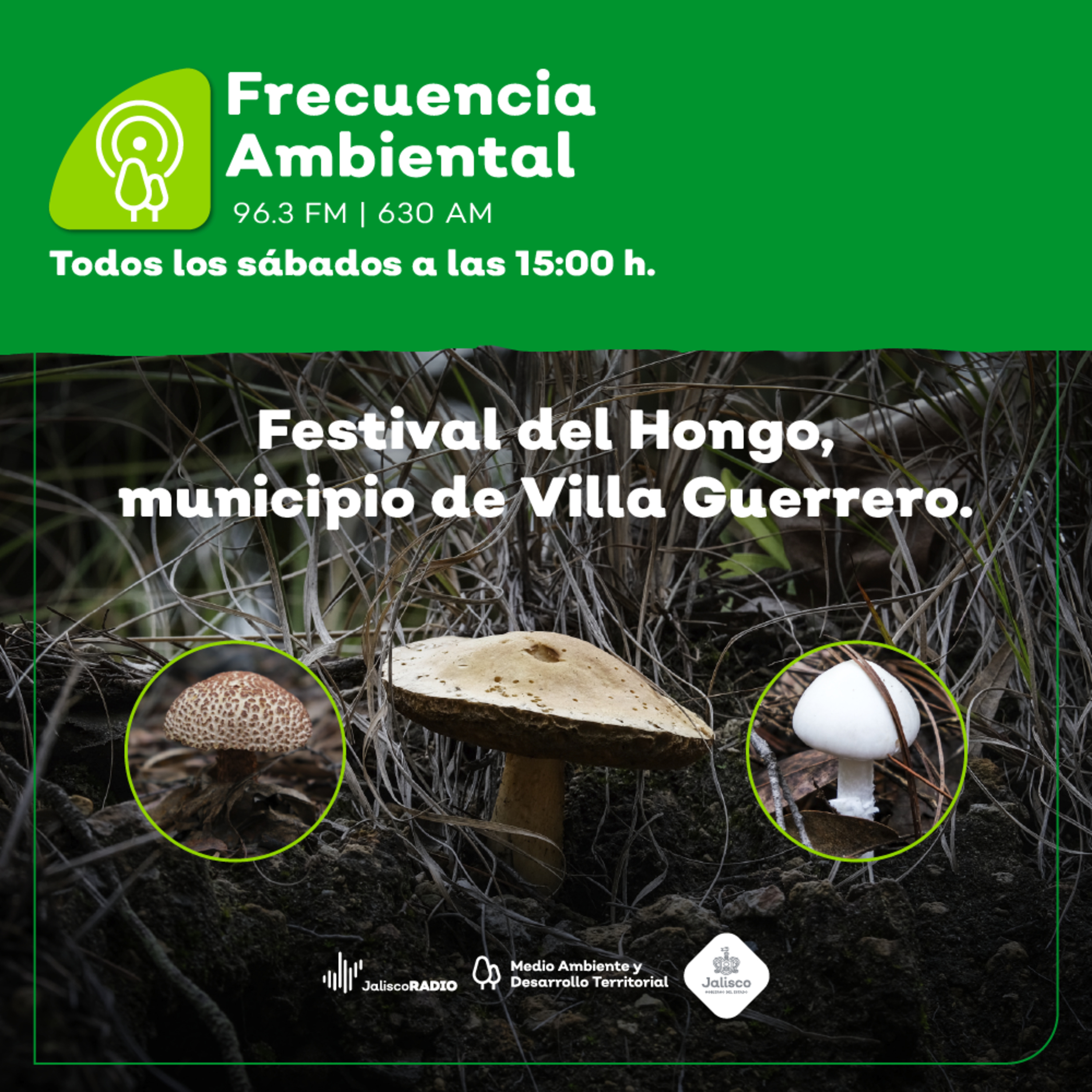 Frecuencia Ambiental