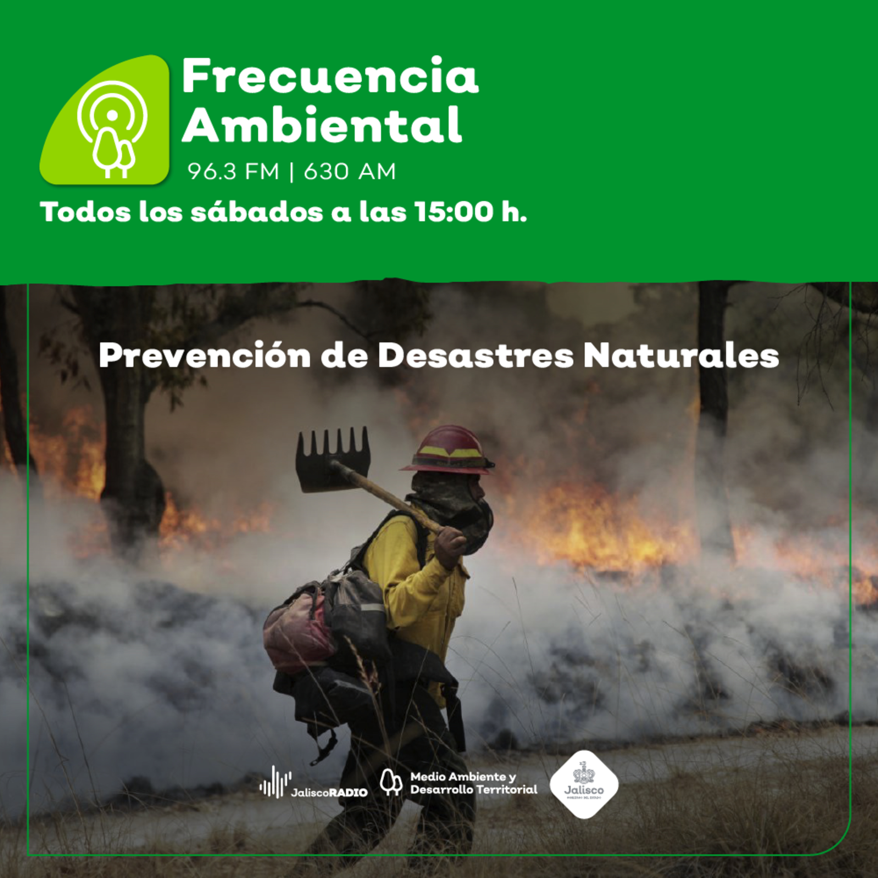 Frecuencia Ambiental