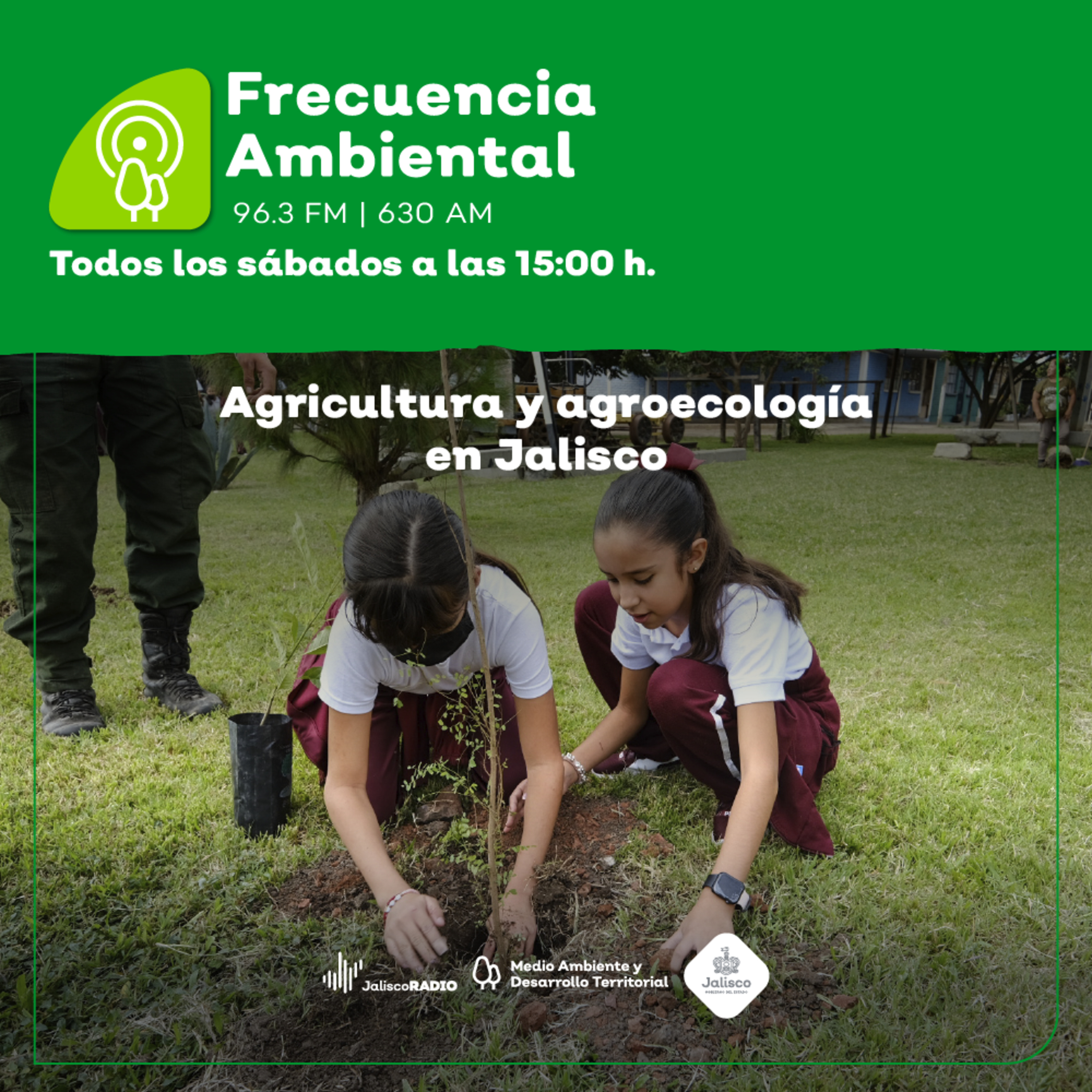 Frecuencia Ambiental