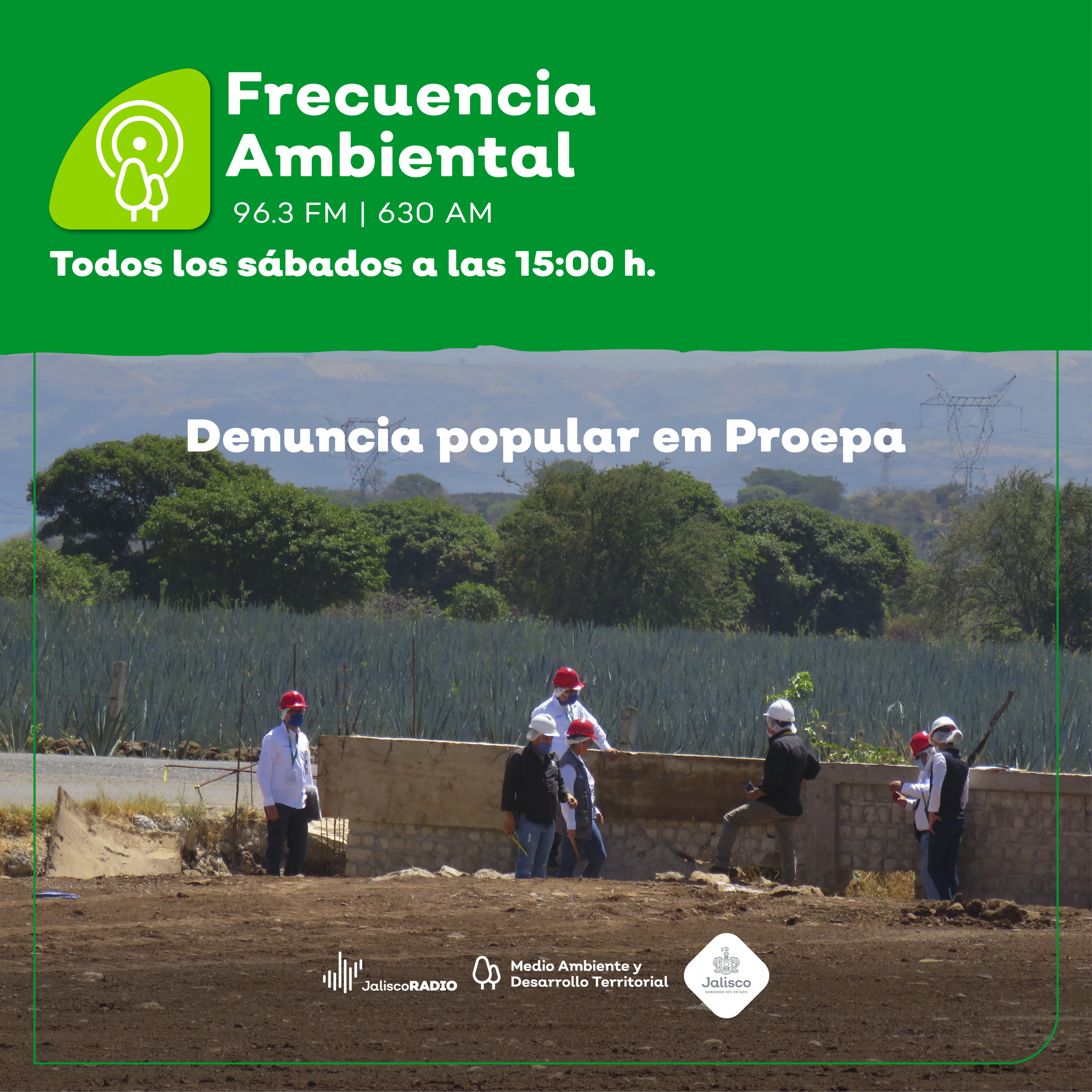 Frecuencia Ambiental