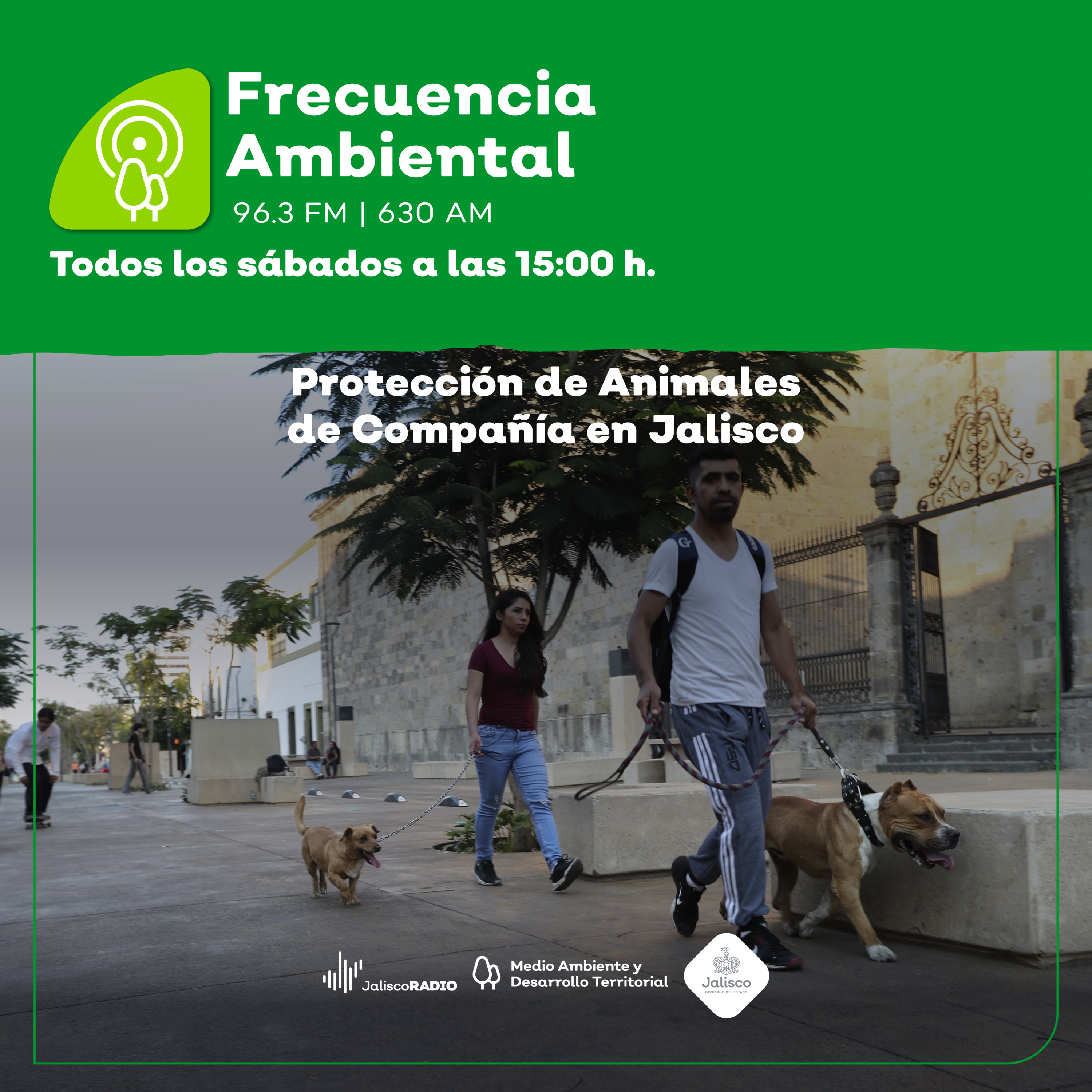 Frecuencia Ambiental