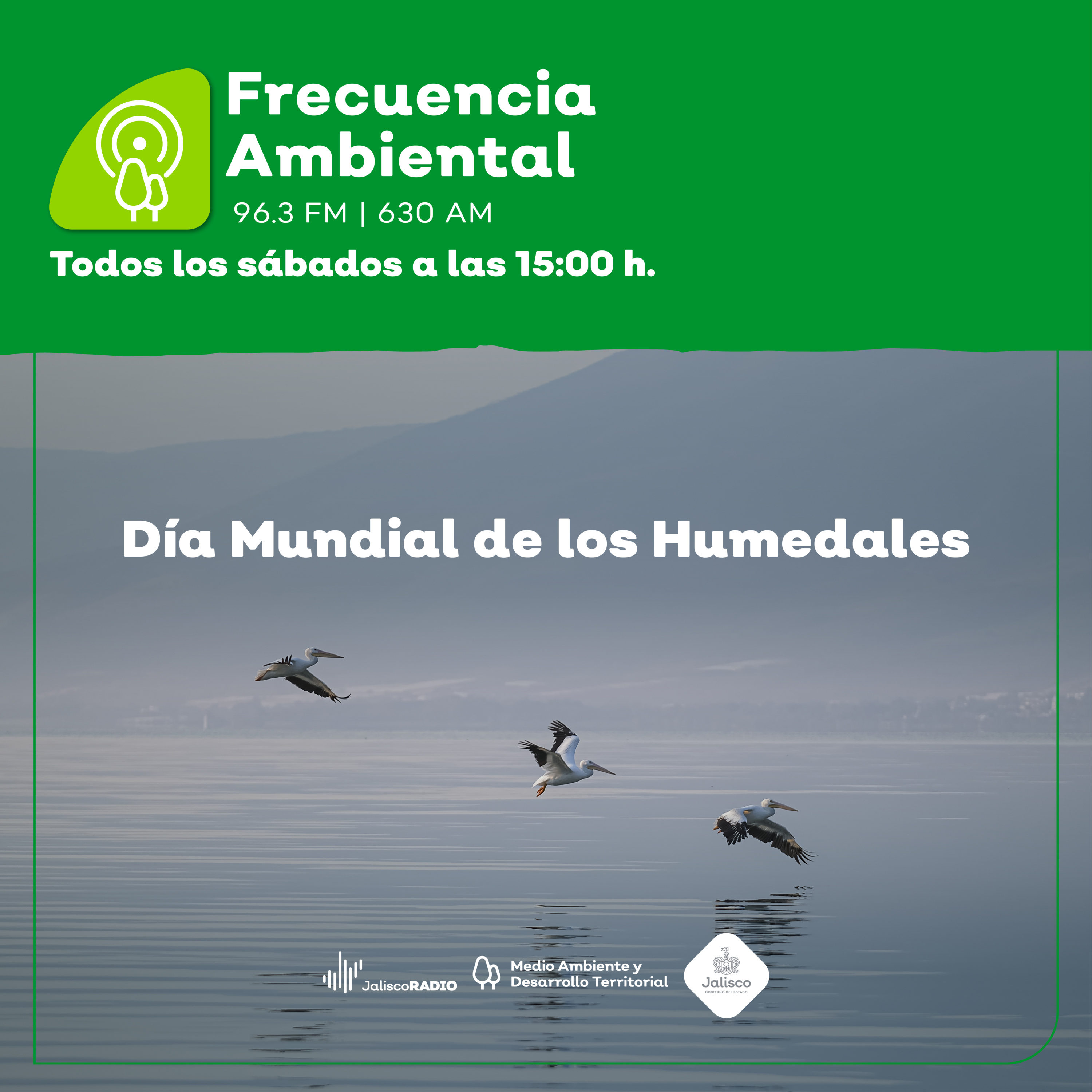 Frecuencia Ambiental